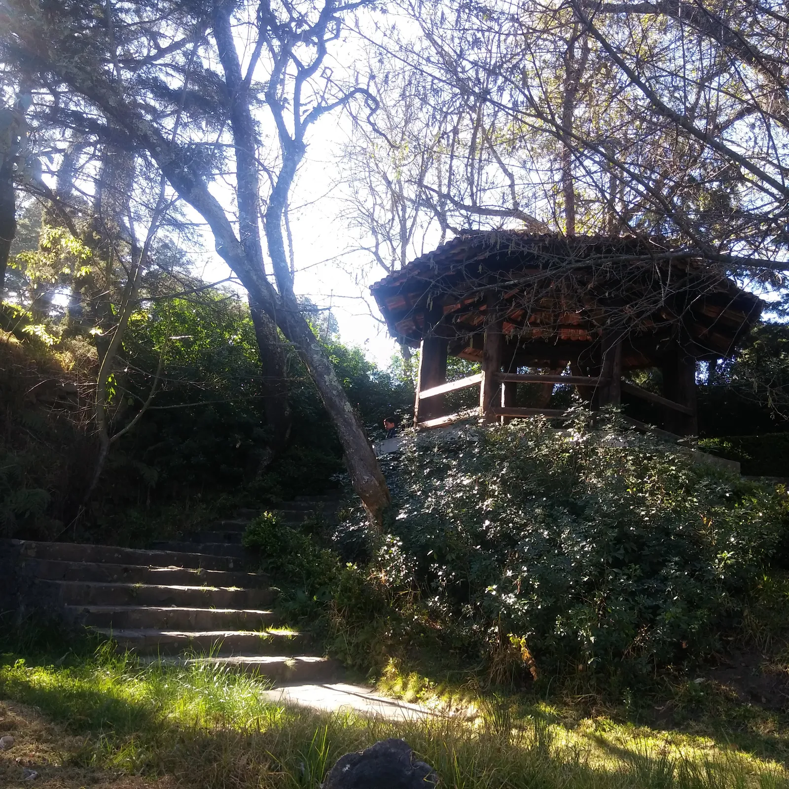 Camping la capilla “restaurante” image 8