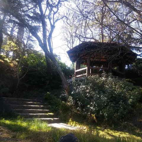 Camping la capilla “restaurante” image 8