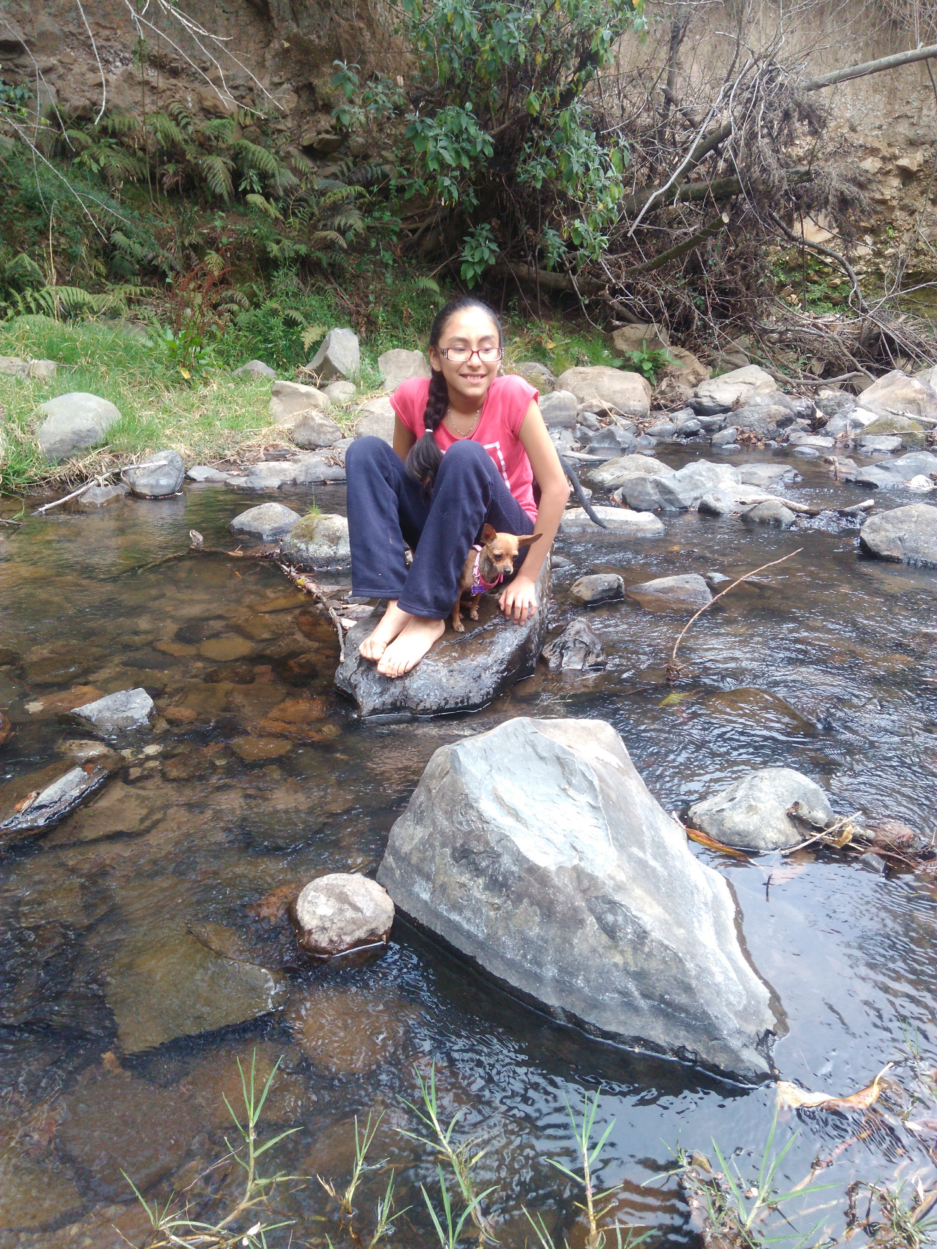 Camping la capilla “restaurante” image 10