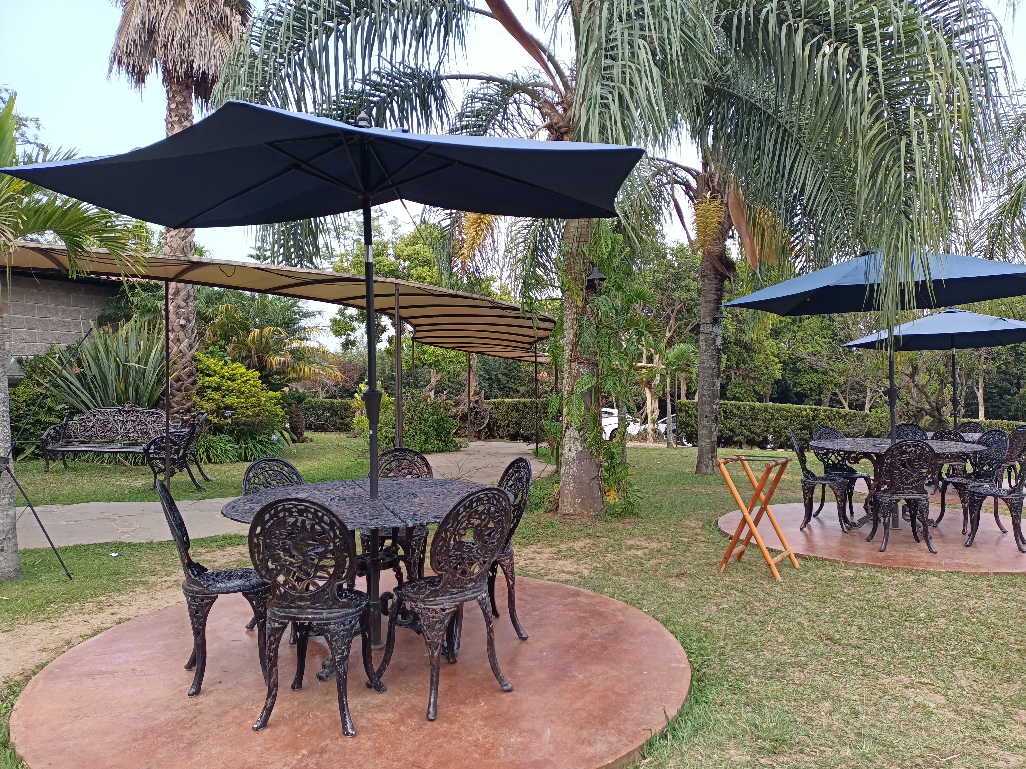 Ameyali Restaurante image 10