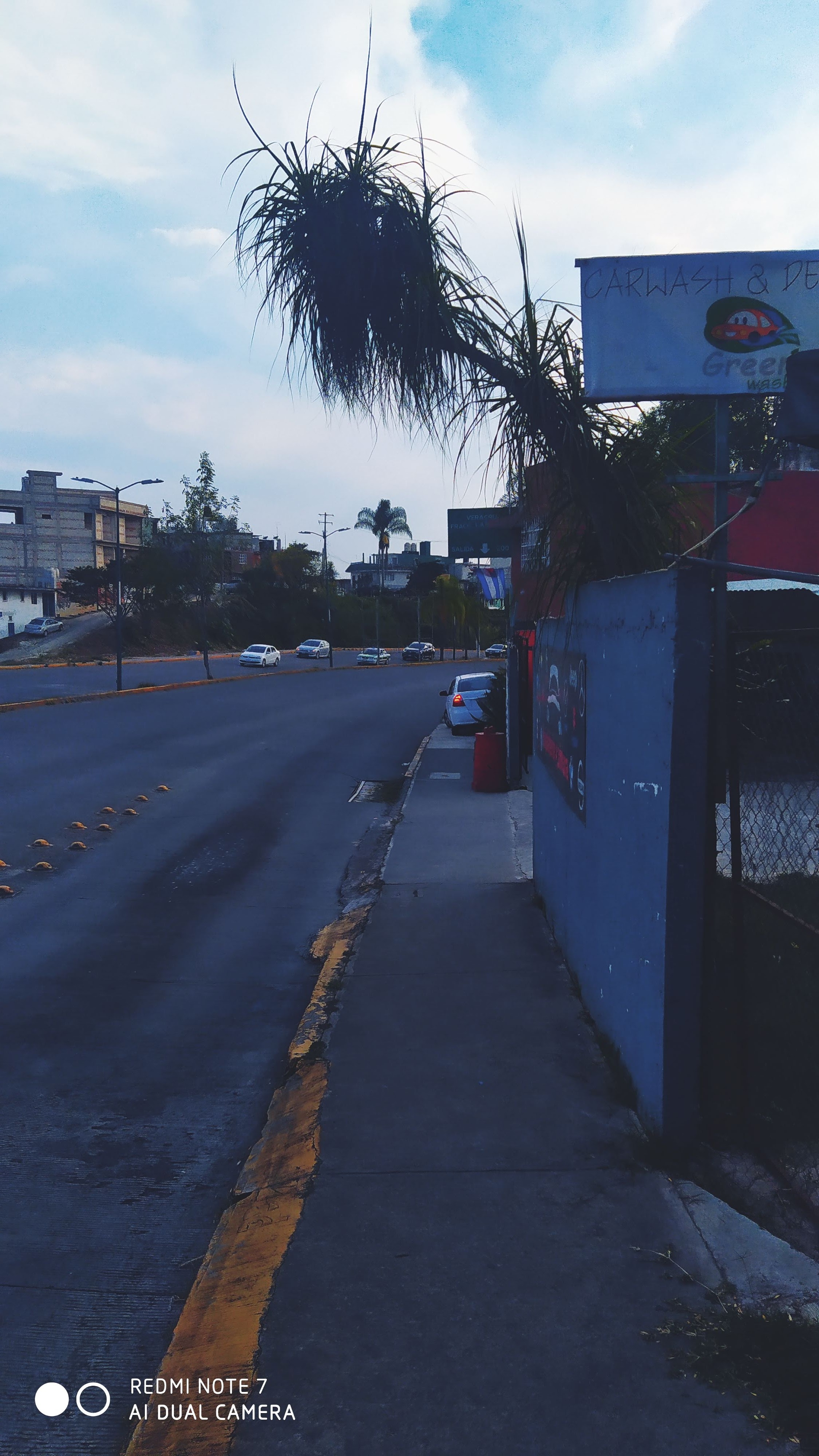 Restaurante La Habanita image 9