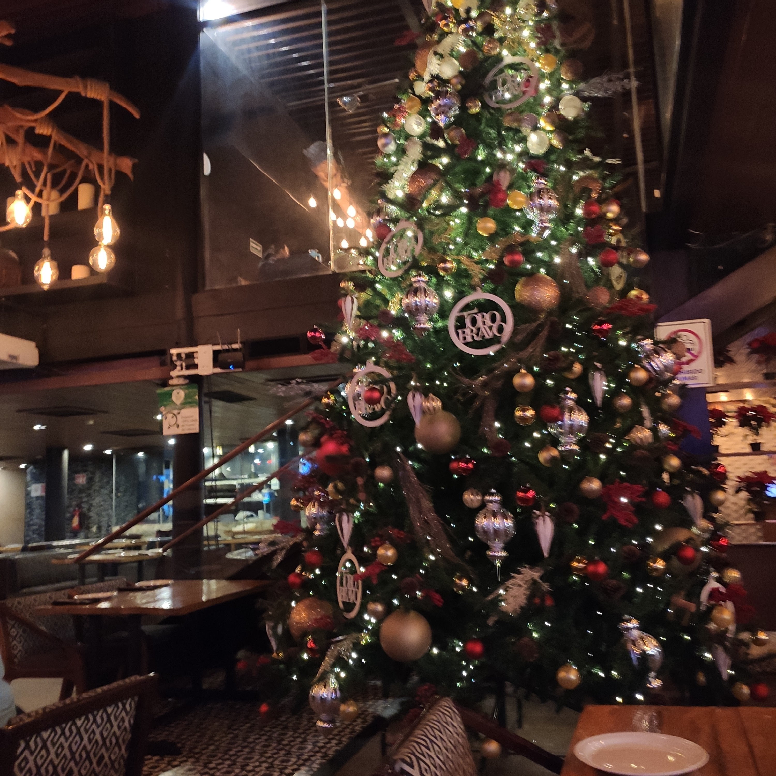 TORO BRAVO RESTAURANT image 1