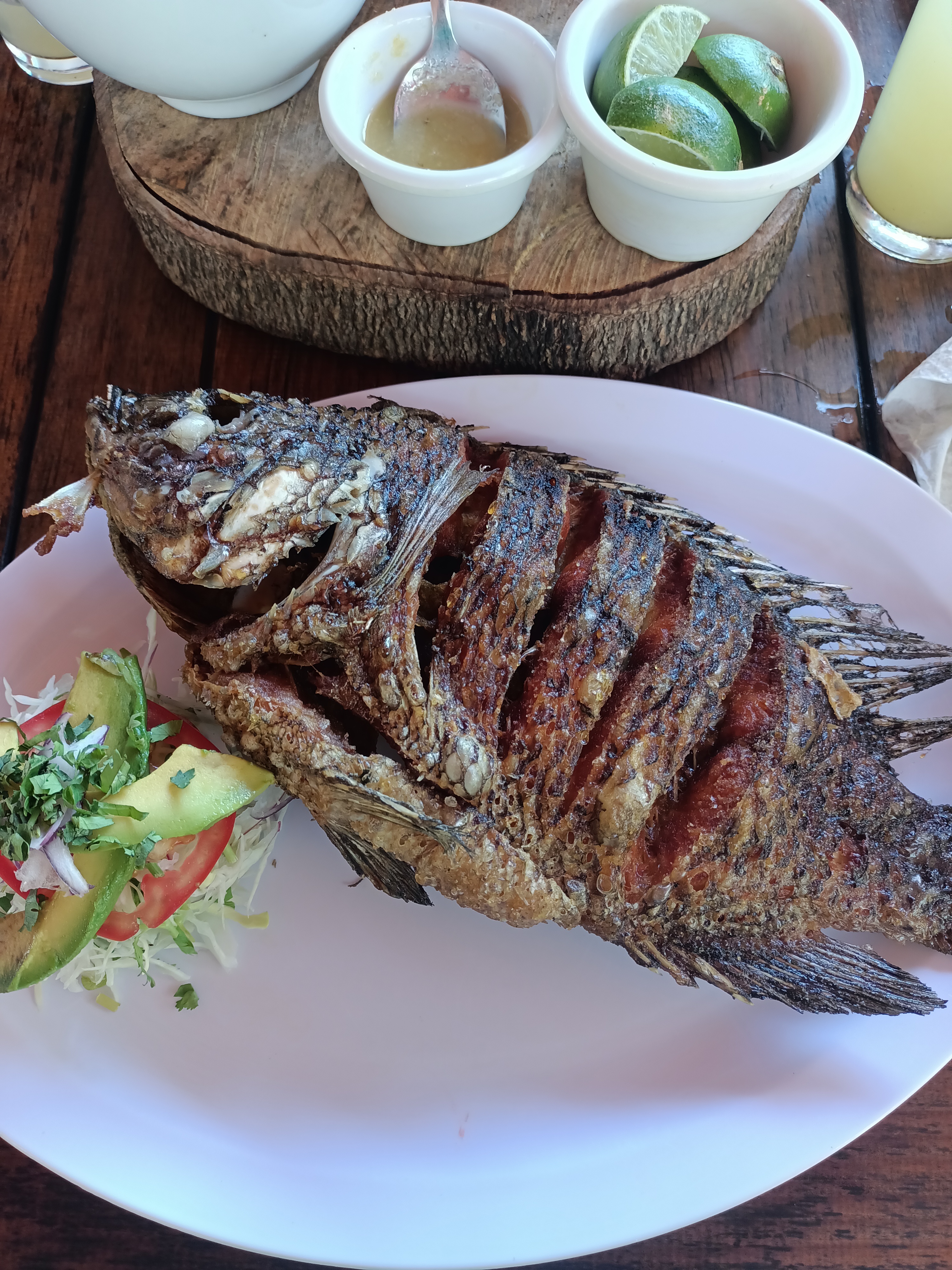 la casa de la mojarra image 2