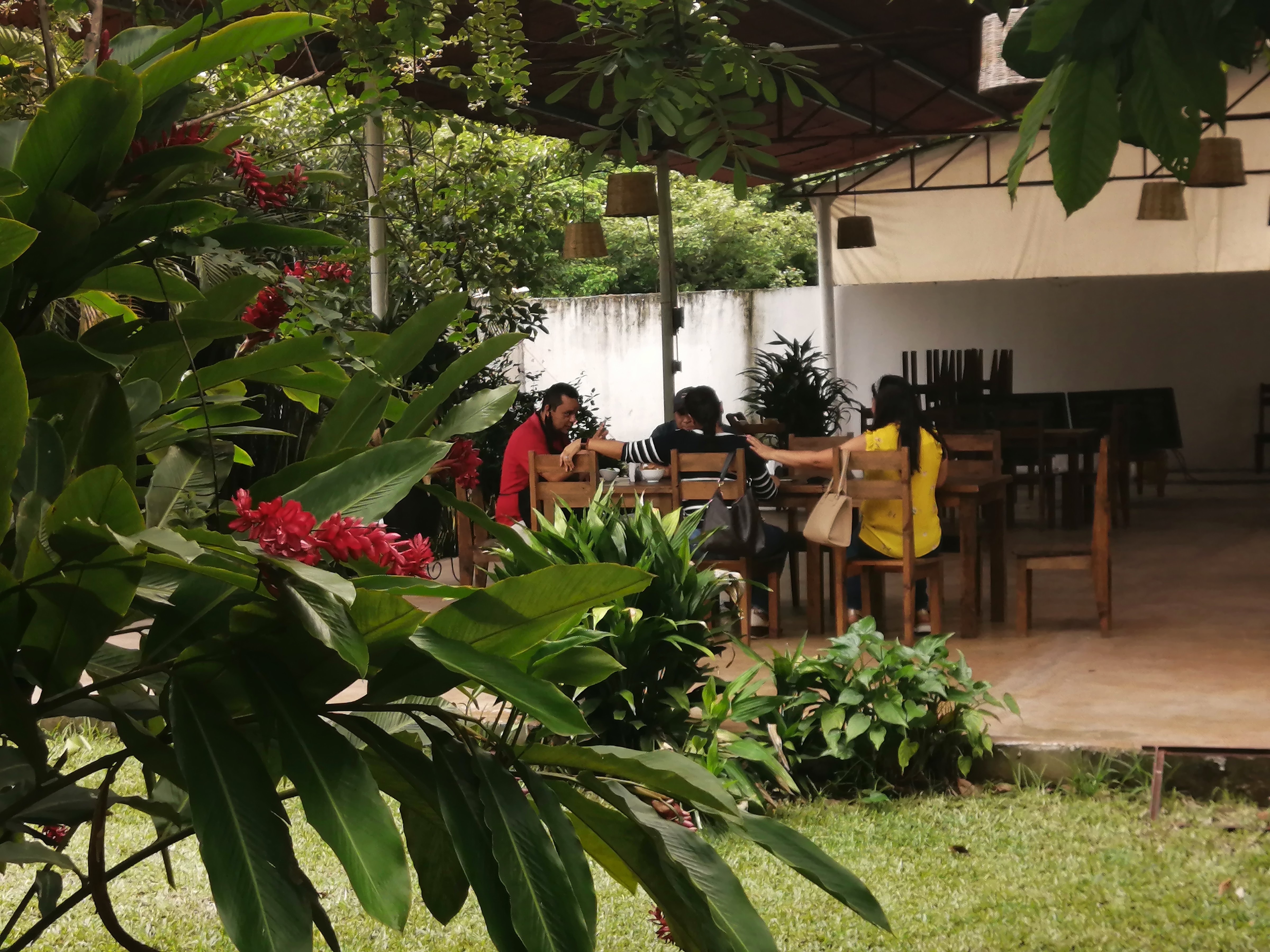 la casa de la mojarra image 6