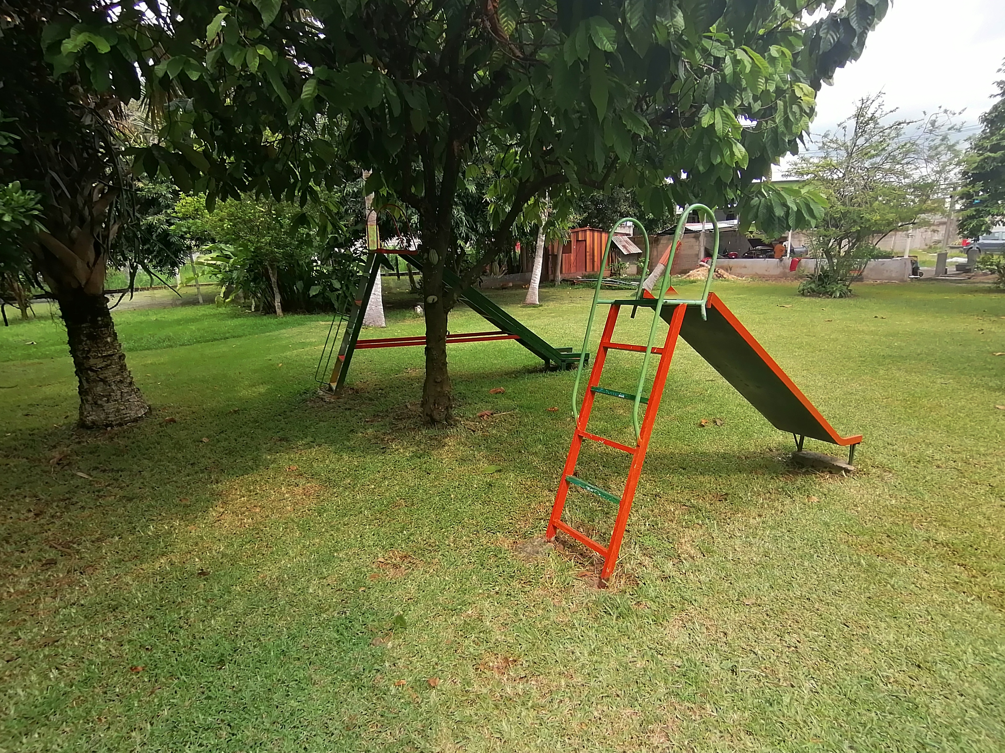 la casa de la mojarra image 9