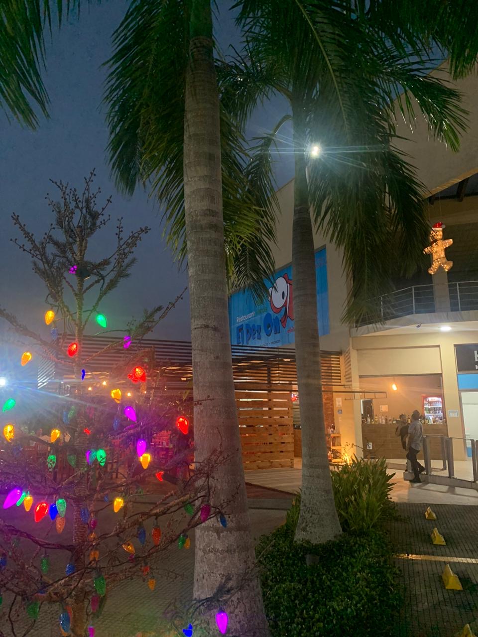 Restaurante El Pez On image 7