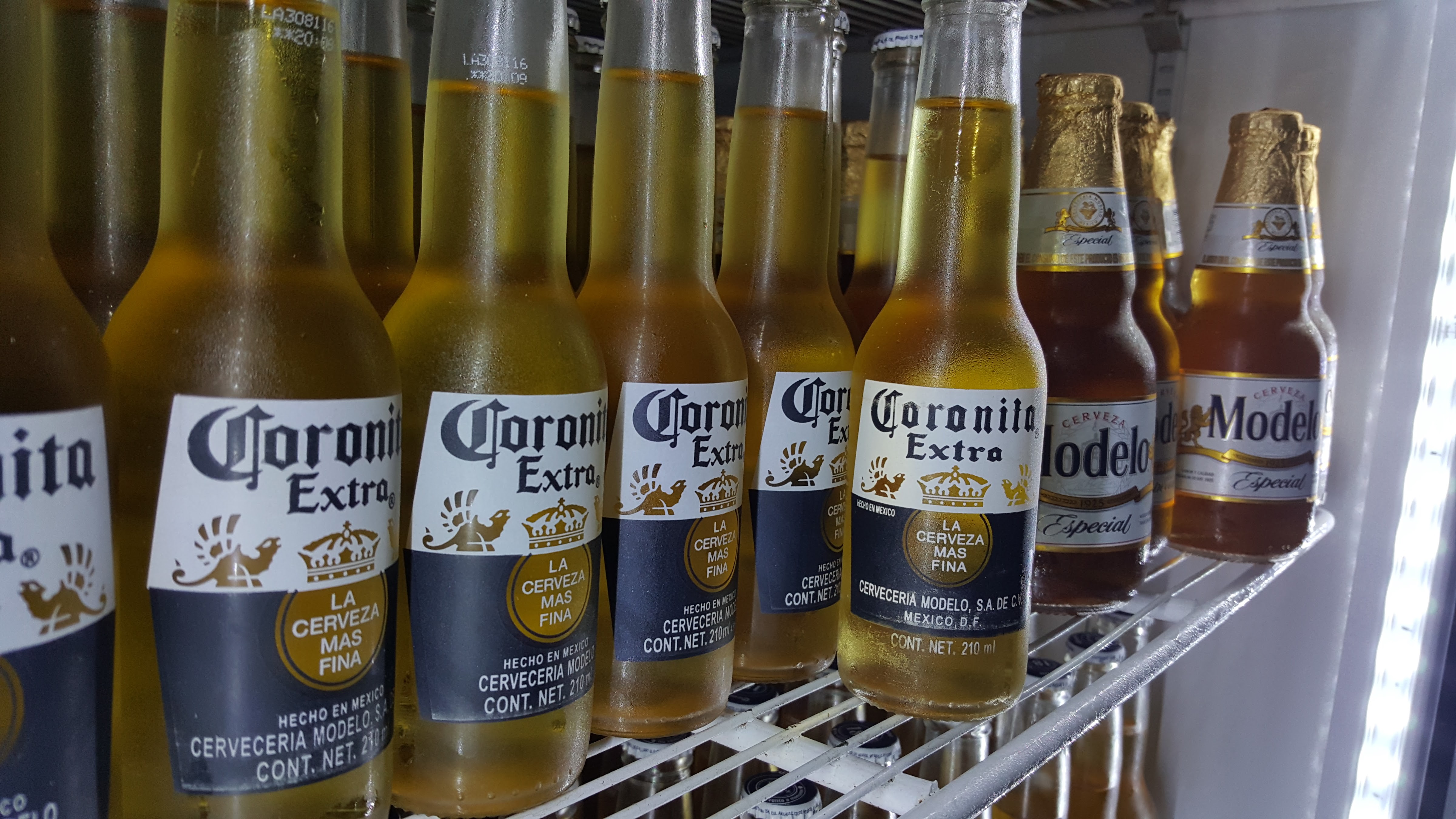 Restaurante Bar El Jarocho image 2