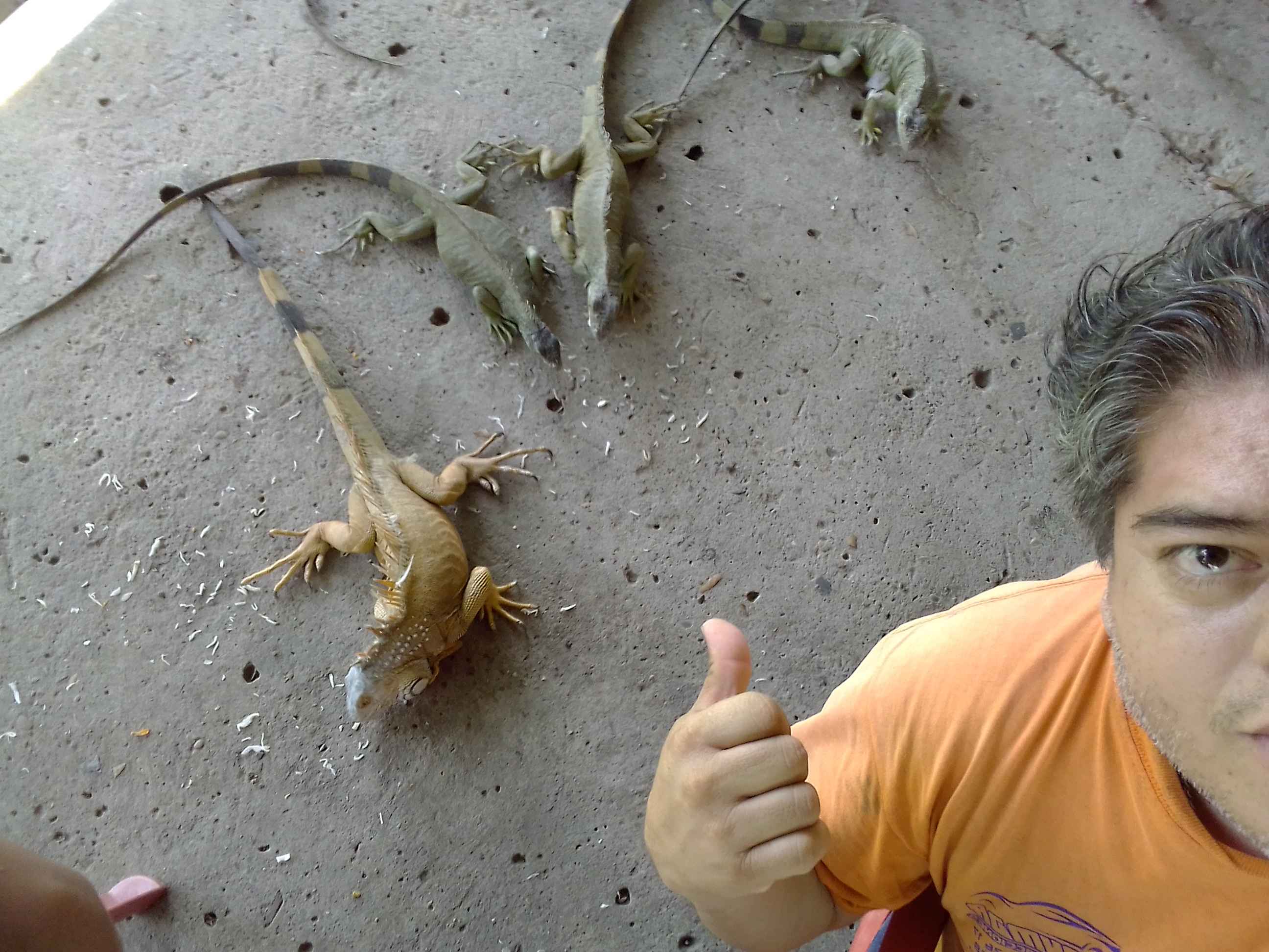 El Manantial de las Iguanas image 3