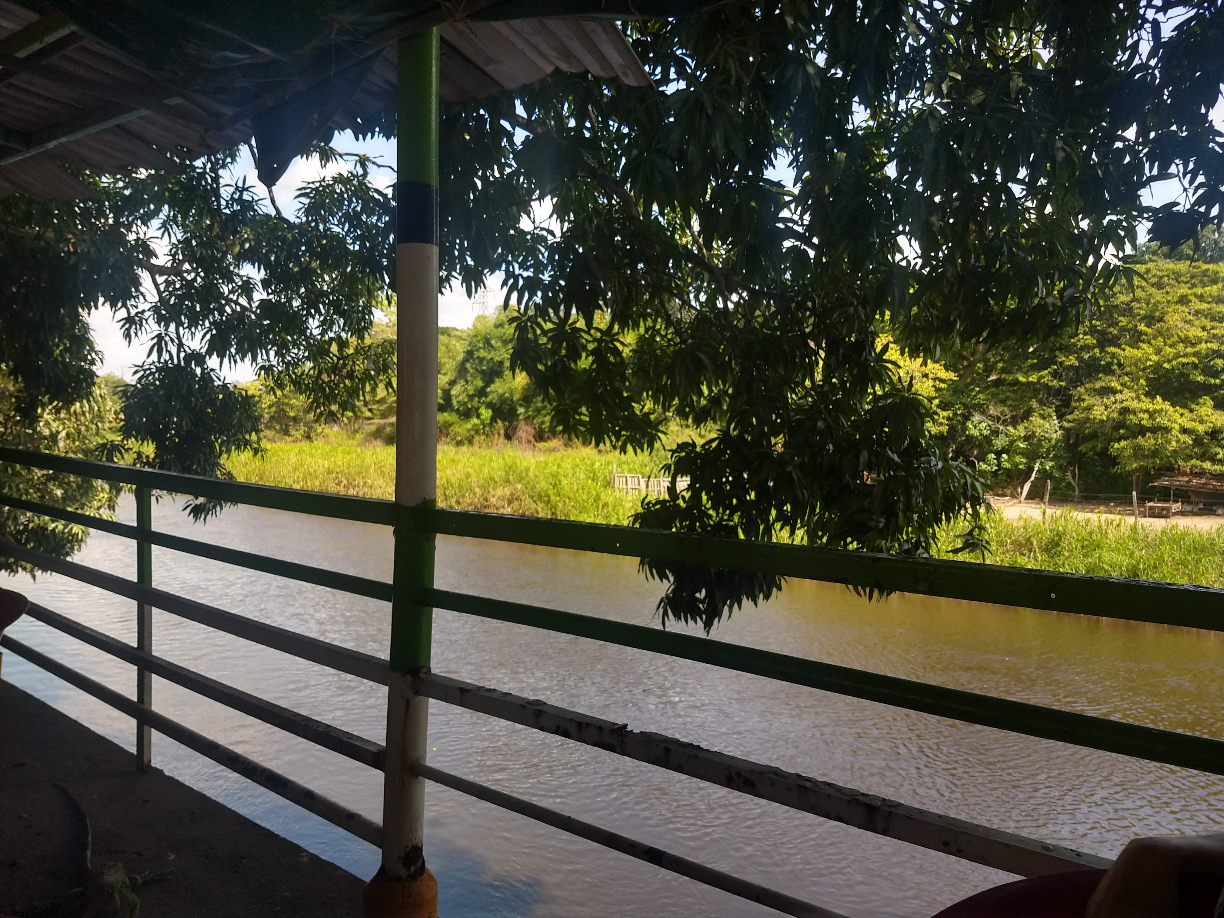 El Manantial de las Iguanas image 5