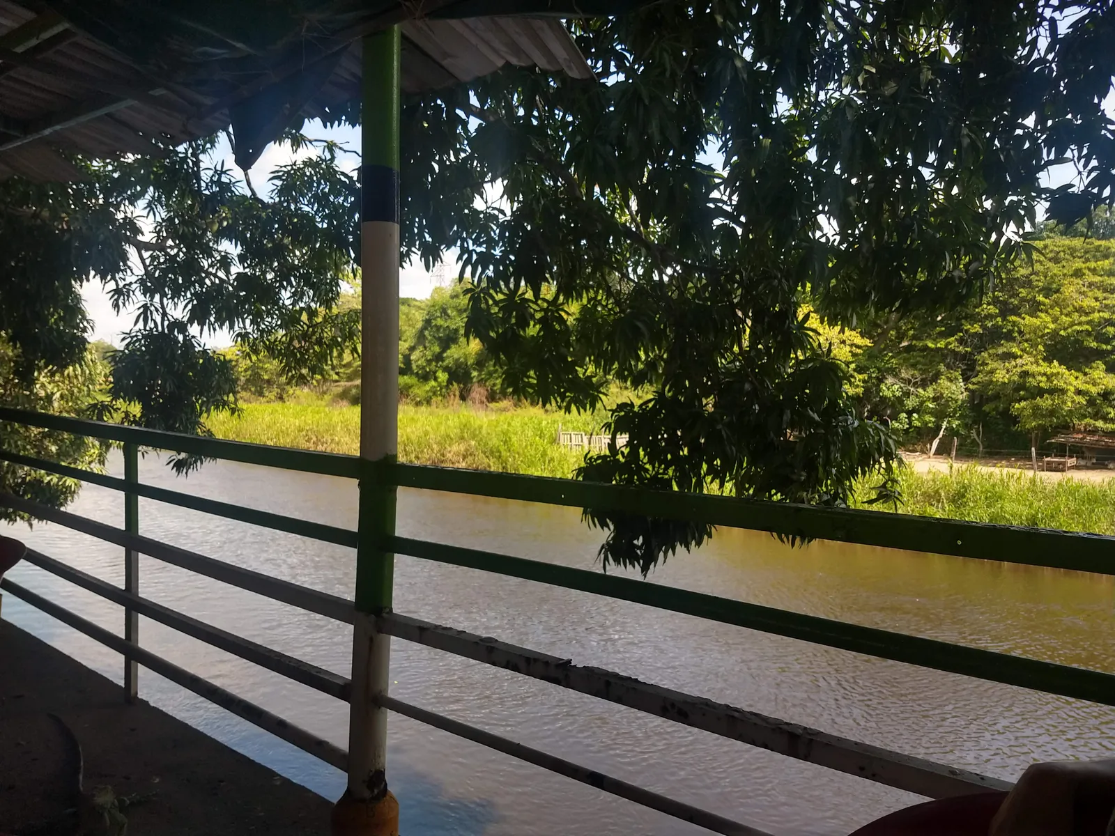 El Manantial de las Iguanas image 5