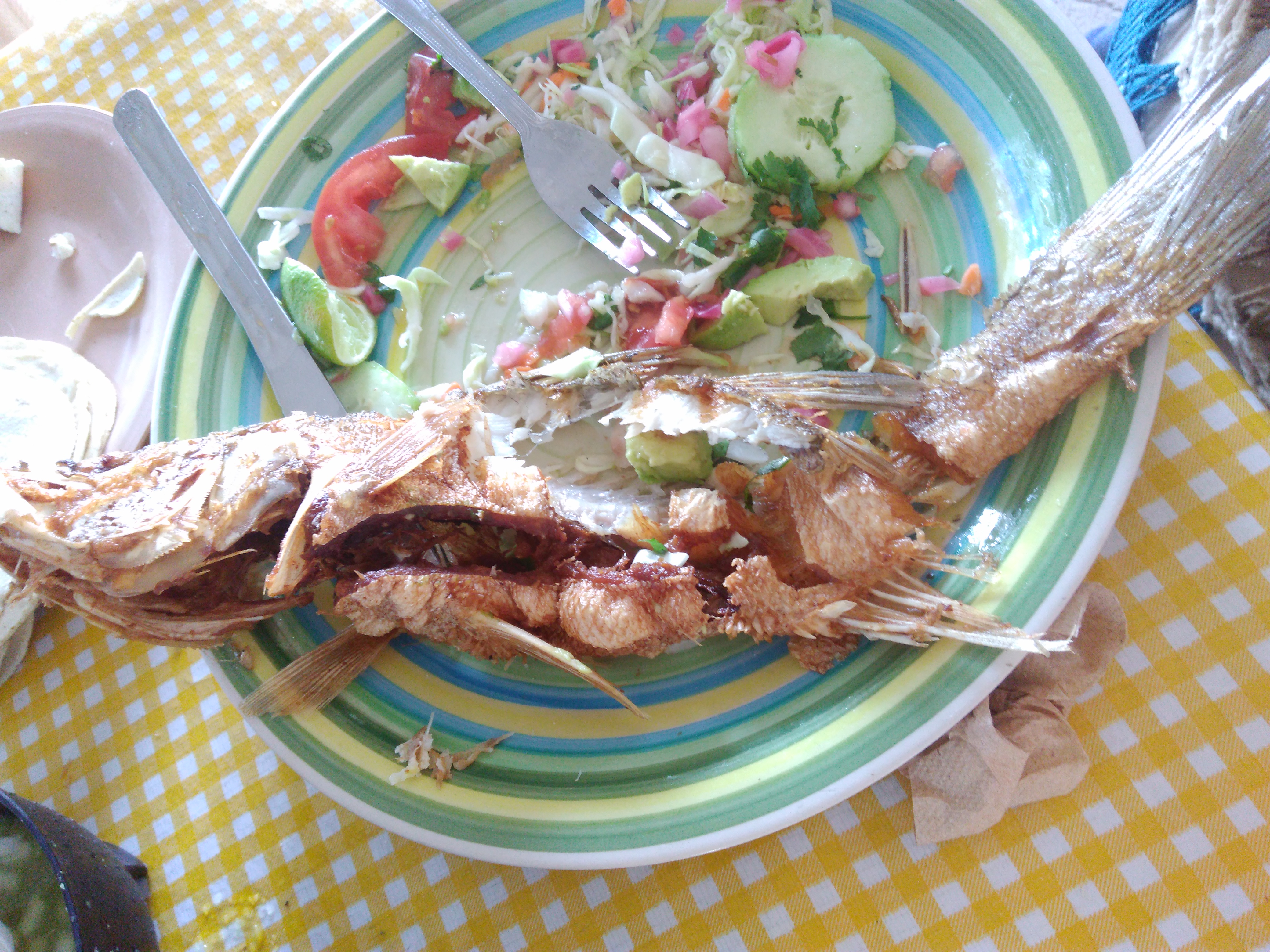 El Manantial de las Iguanas image 10