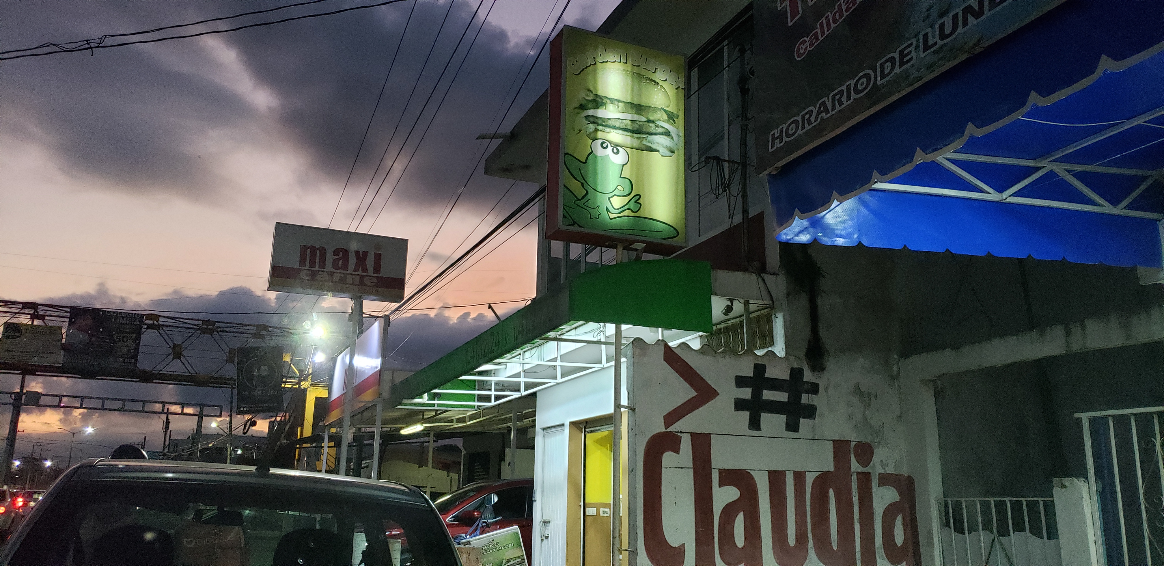 Hamburguesas Y Tacos Garden Burger A La Parrilla image 1