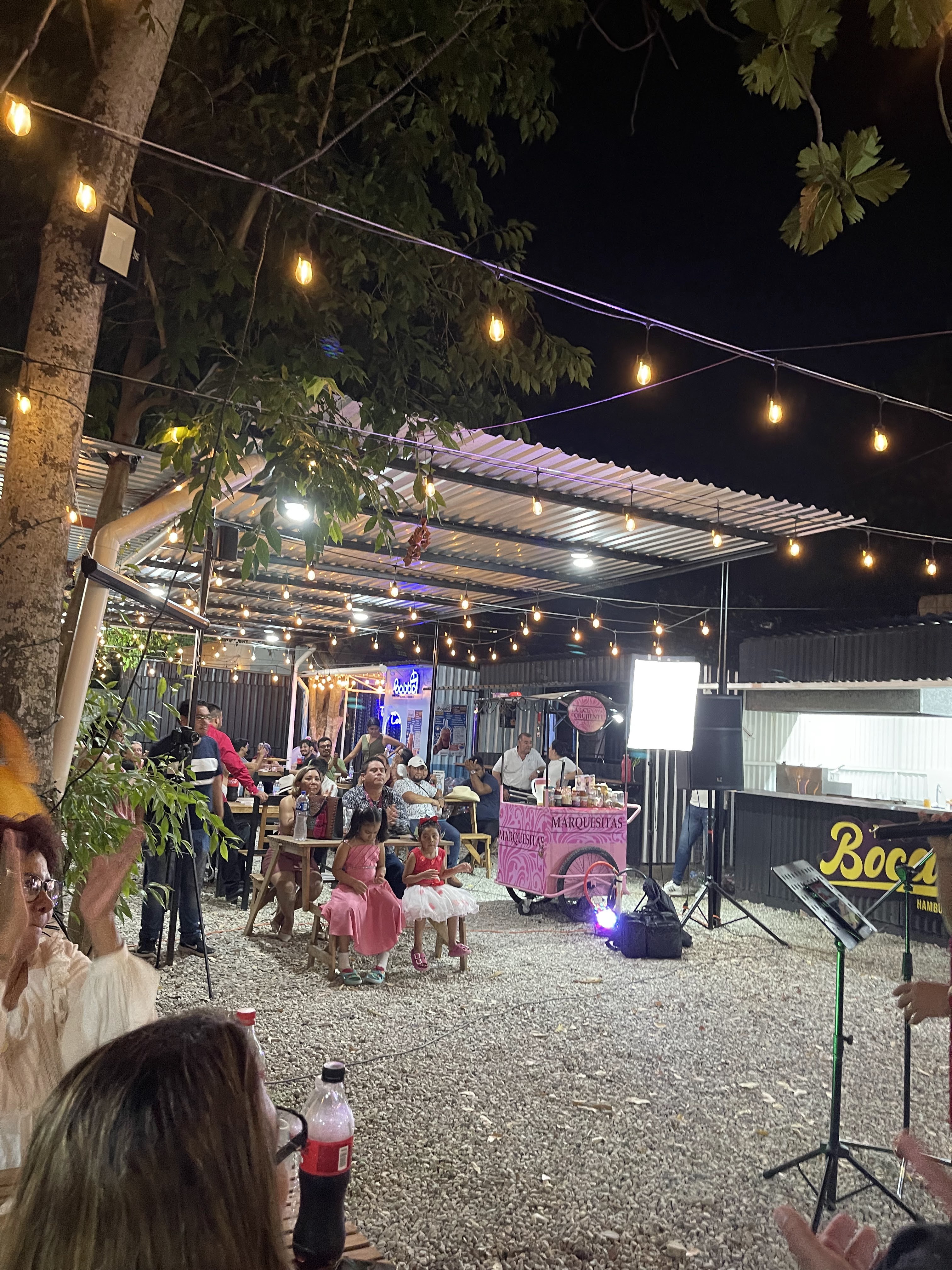 Boneless CAM image 2