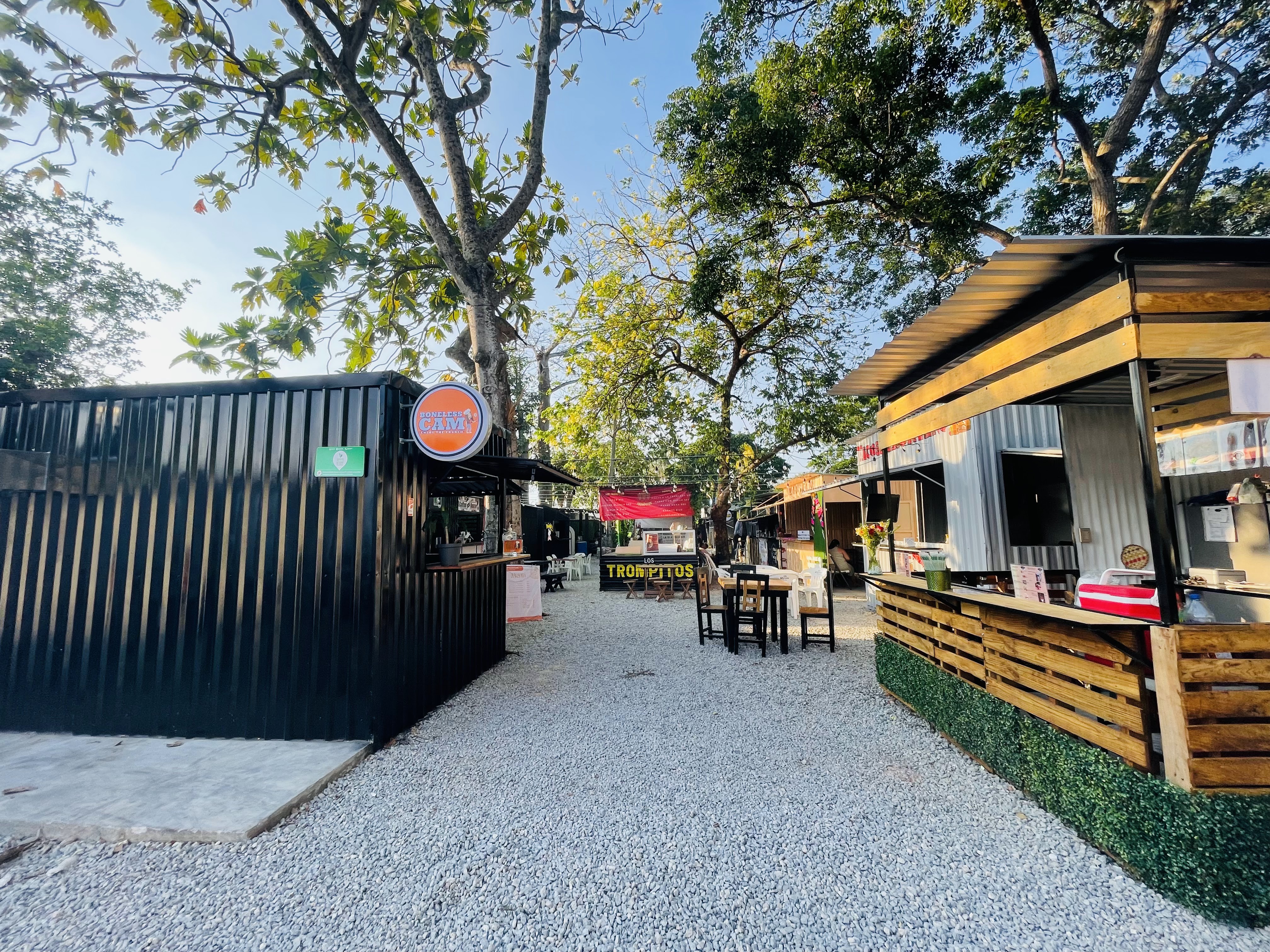 Boneless CAM image 4