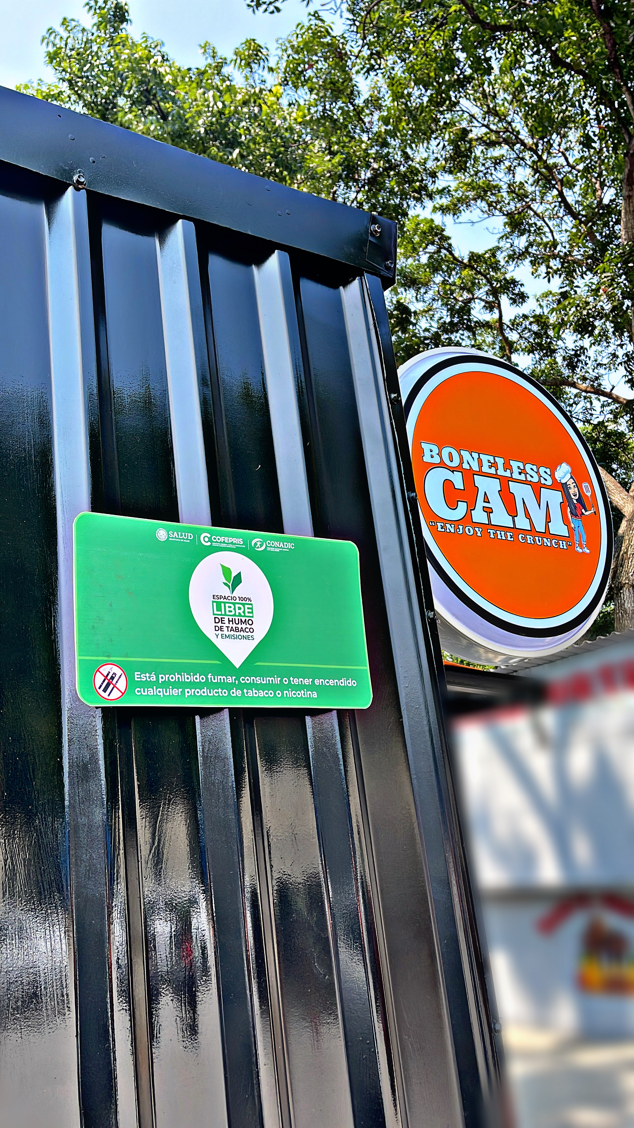 Boneless CAM image 10