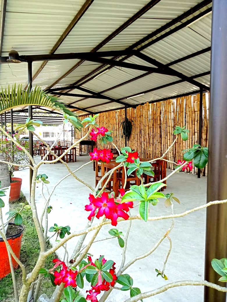 Viva la vida Restaurante de Mariscos image 6