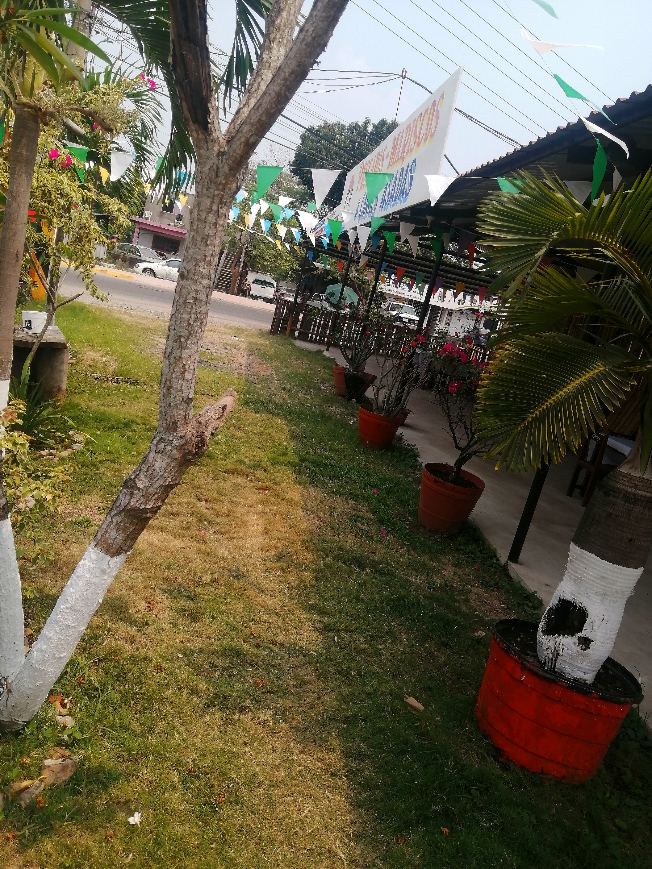 Viva la vida Restaurante de Mariscos image 8