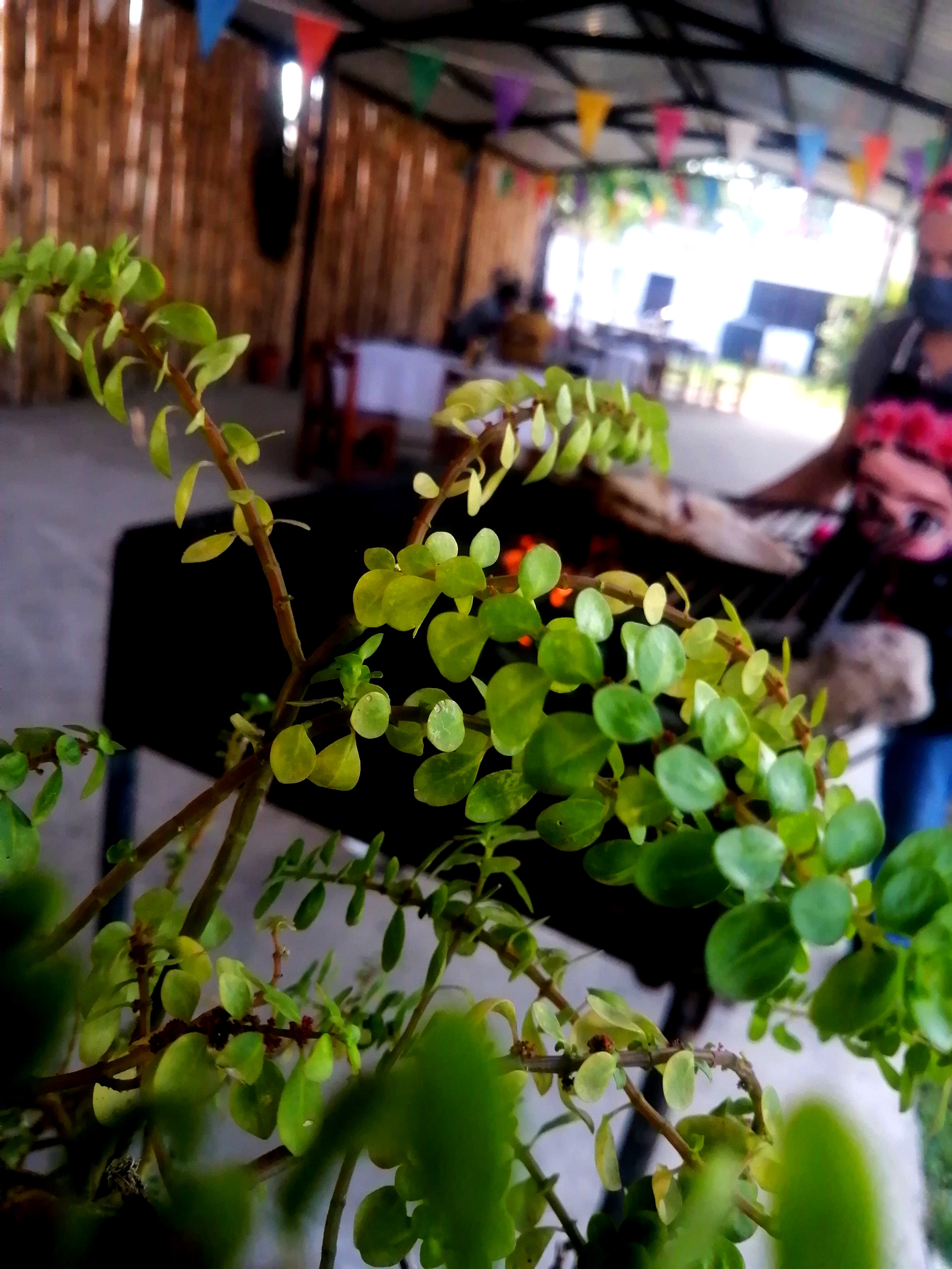 Viva la vida Restaurante de Mariscos image 10