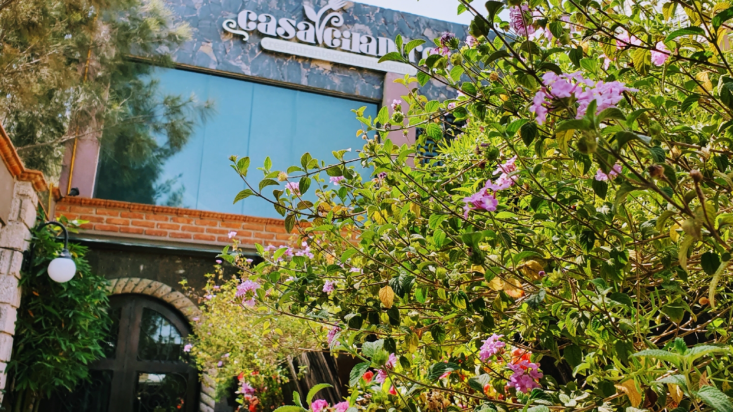 Casa Cilantro image 3