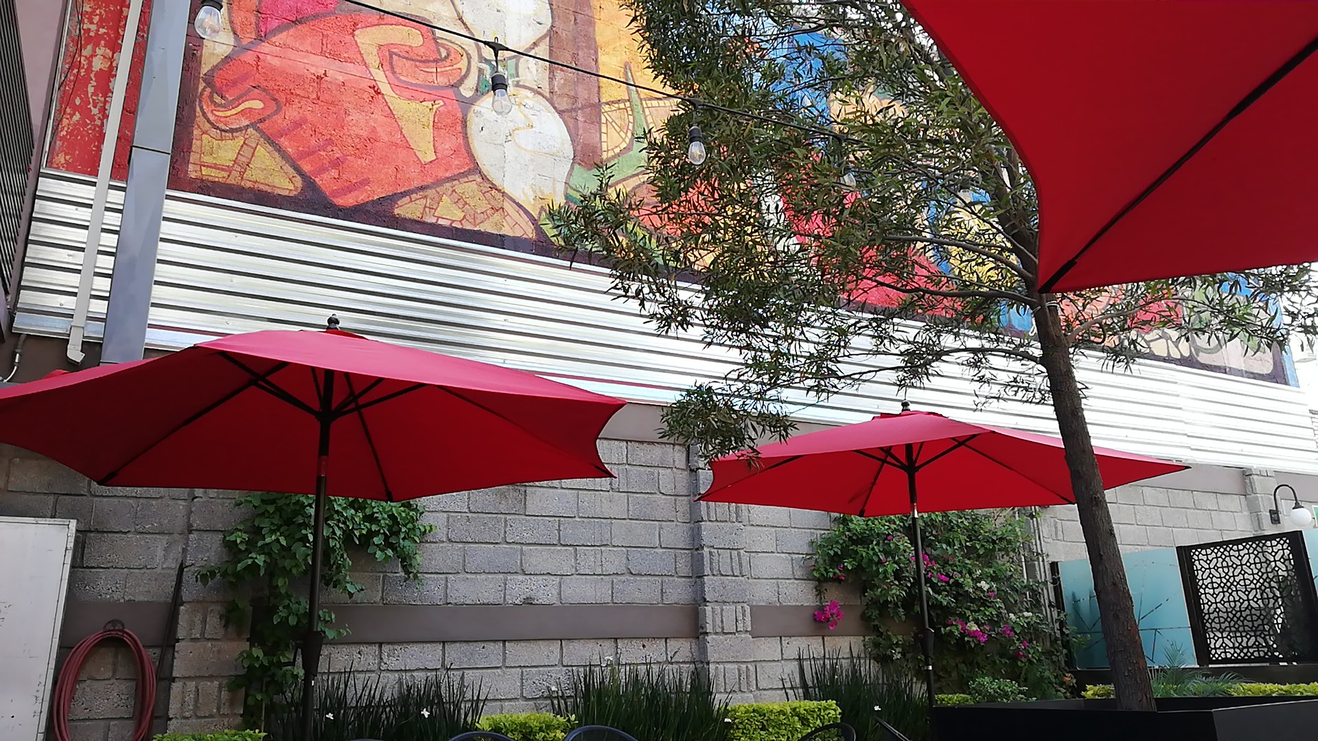 Casa Cilantro image 10