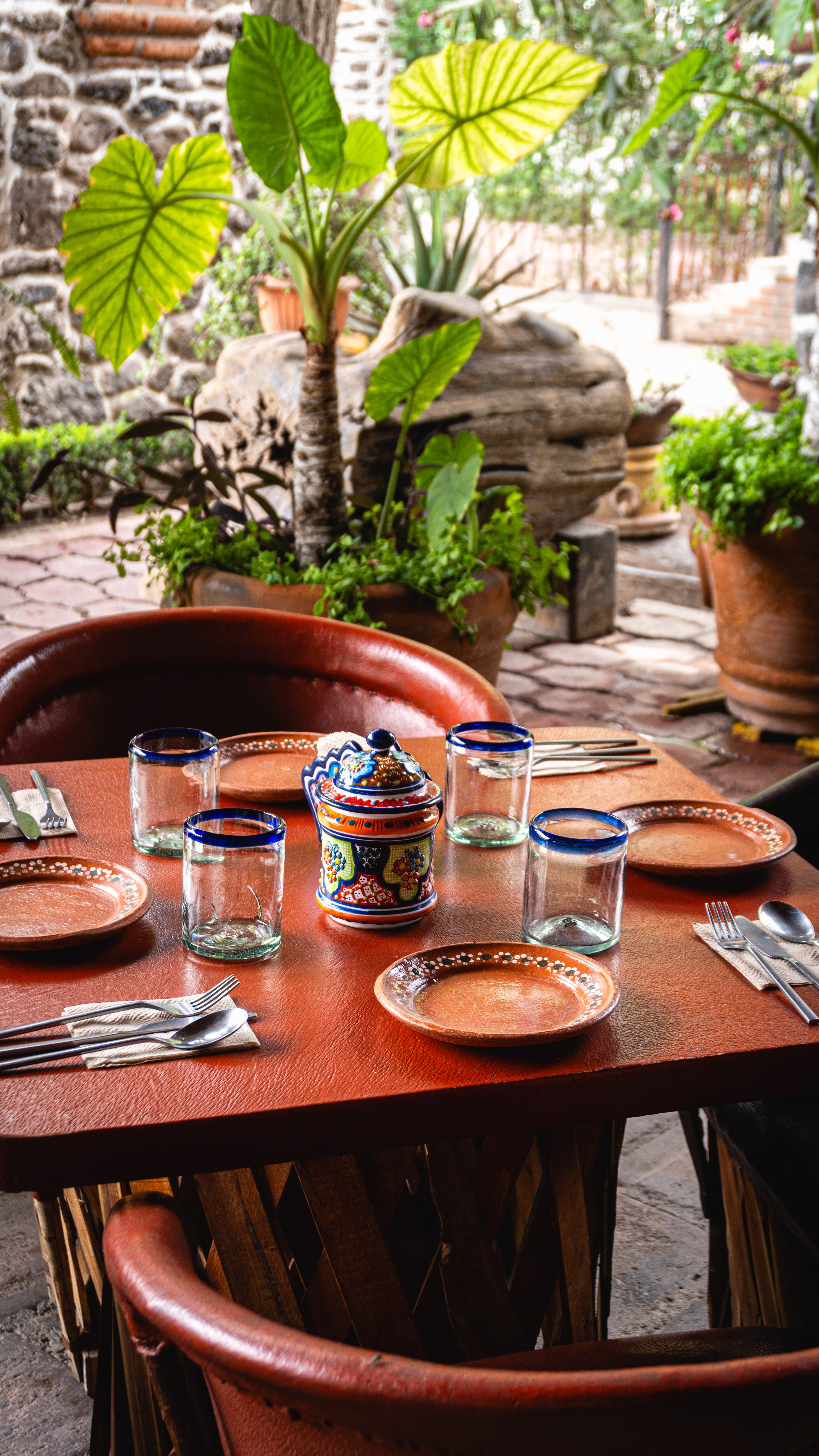 Finca Doña Eulalia image 5