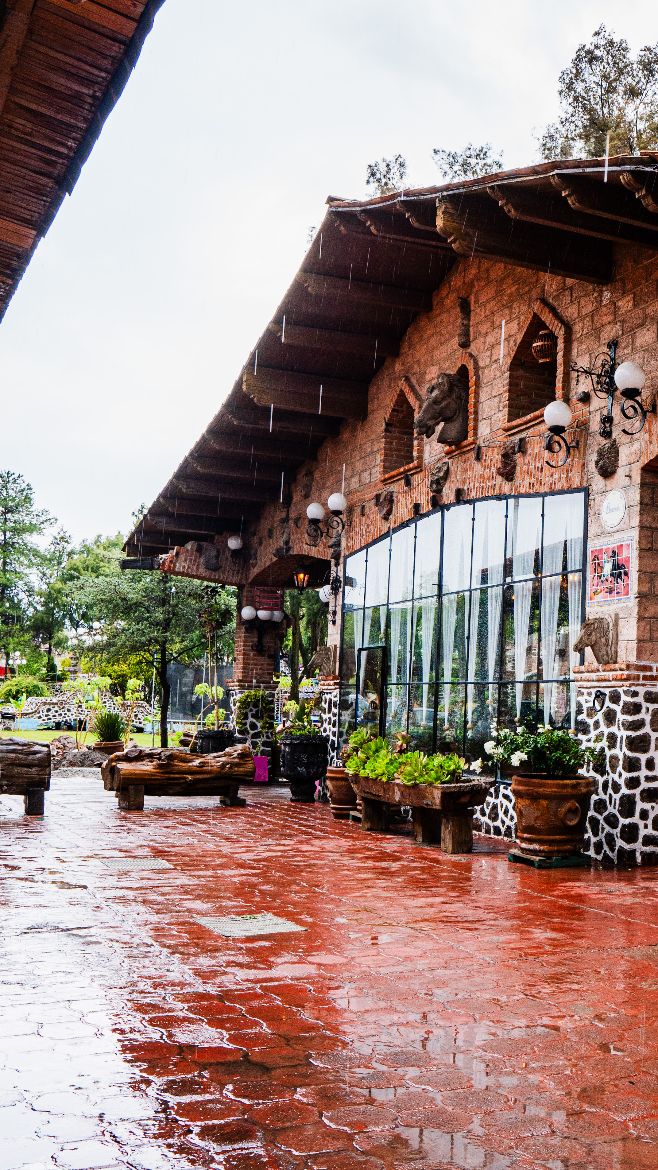 Finca Doña Eulalia image 9