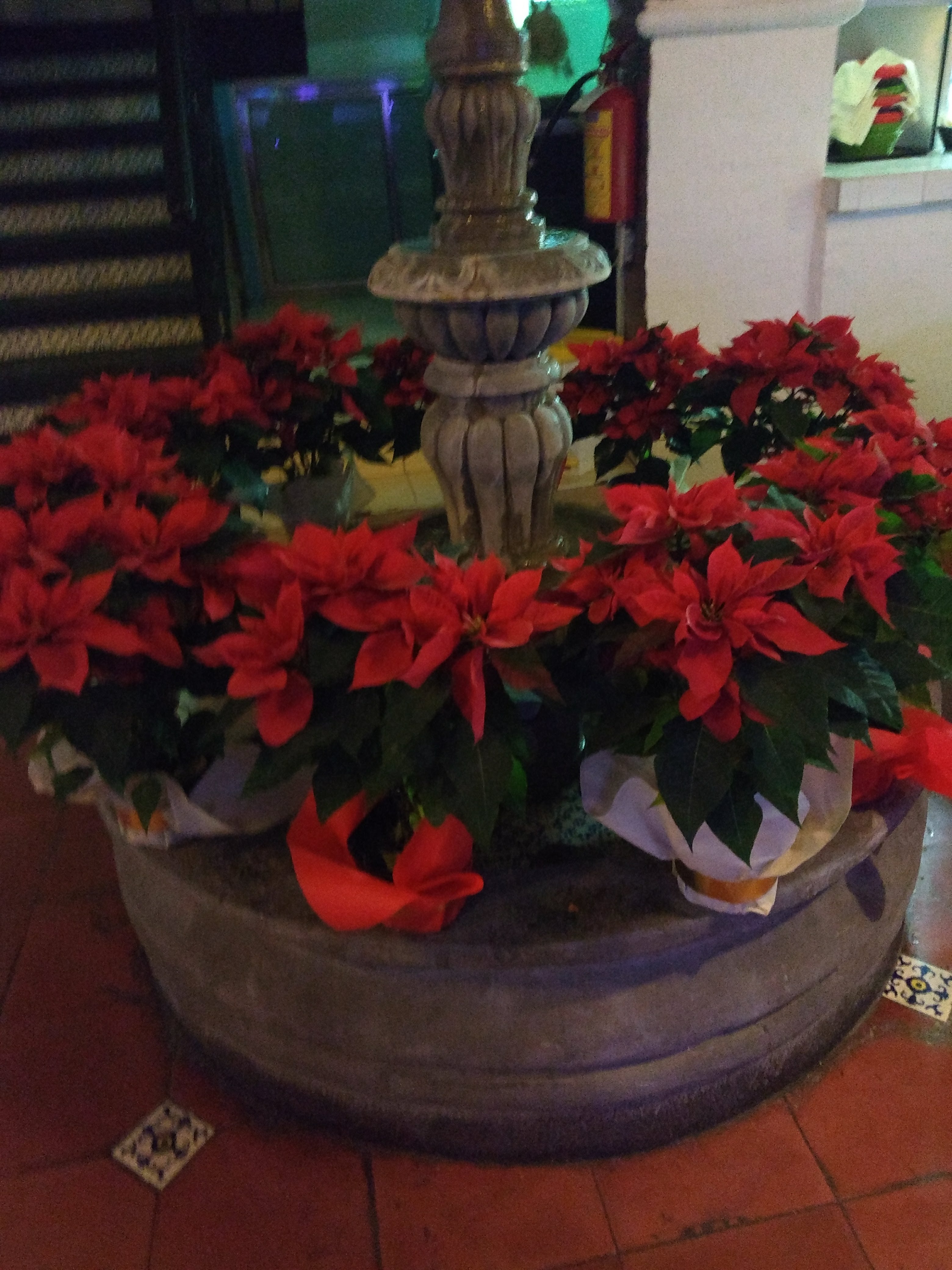 RESTAURANTE "LA TROJE" image 7