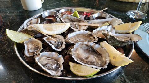 Oystera image 7