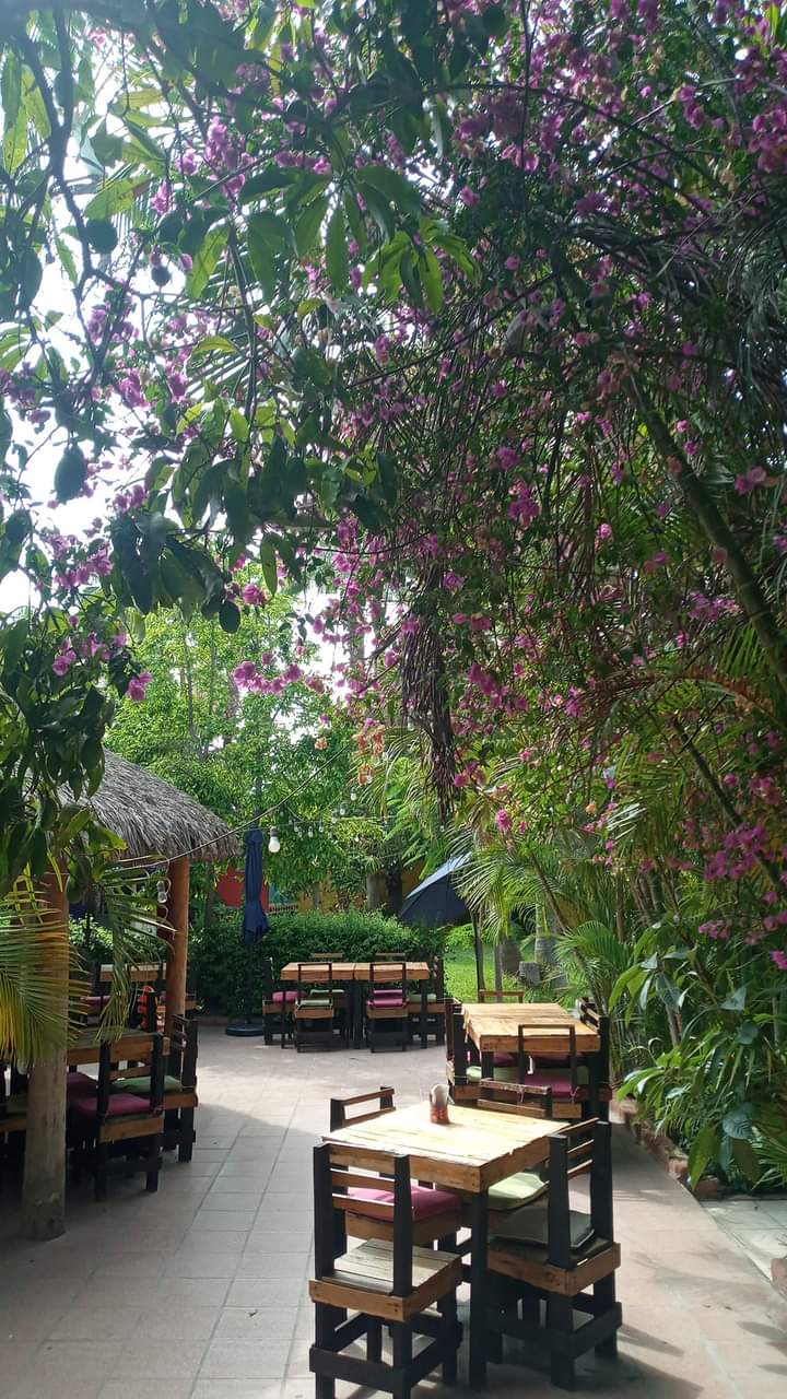 La palapa del sabor image 1