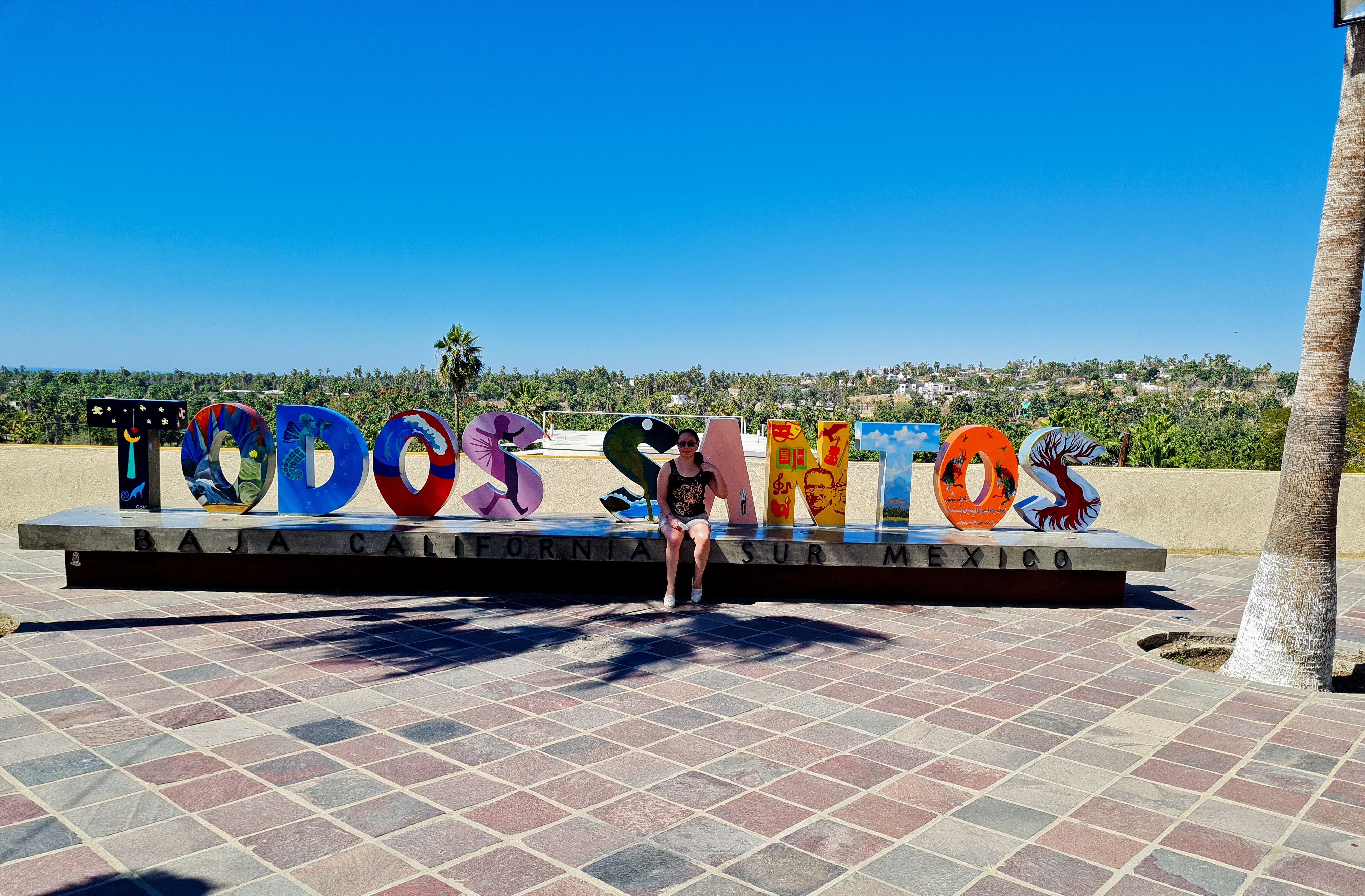 La palapa del sabor image 10