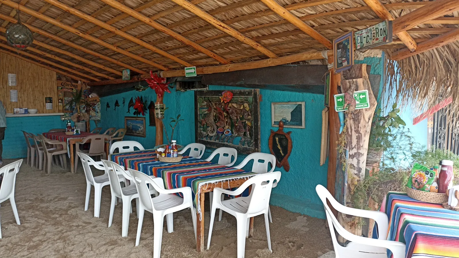 Mi Costa image 1