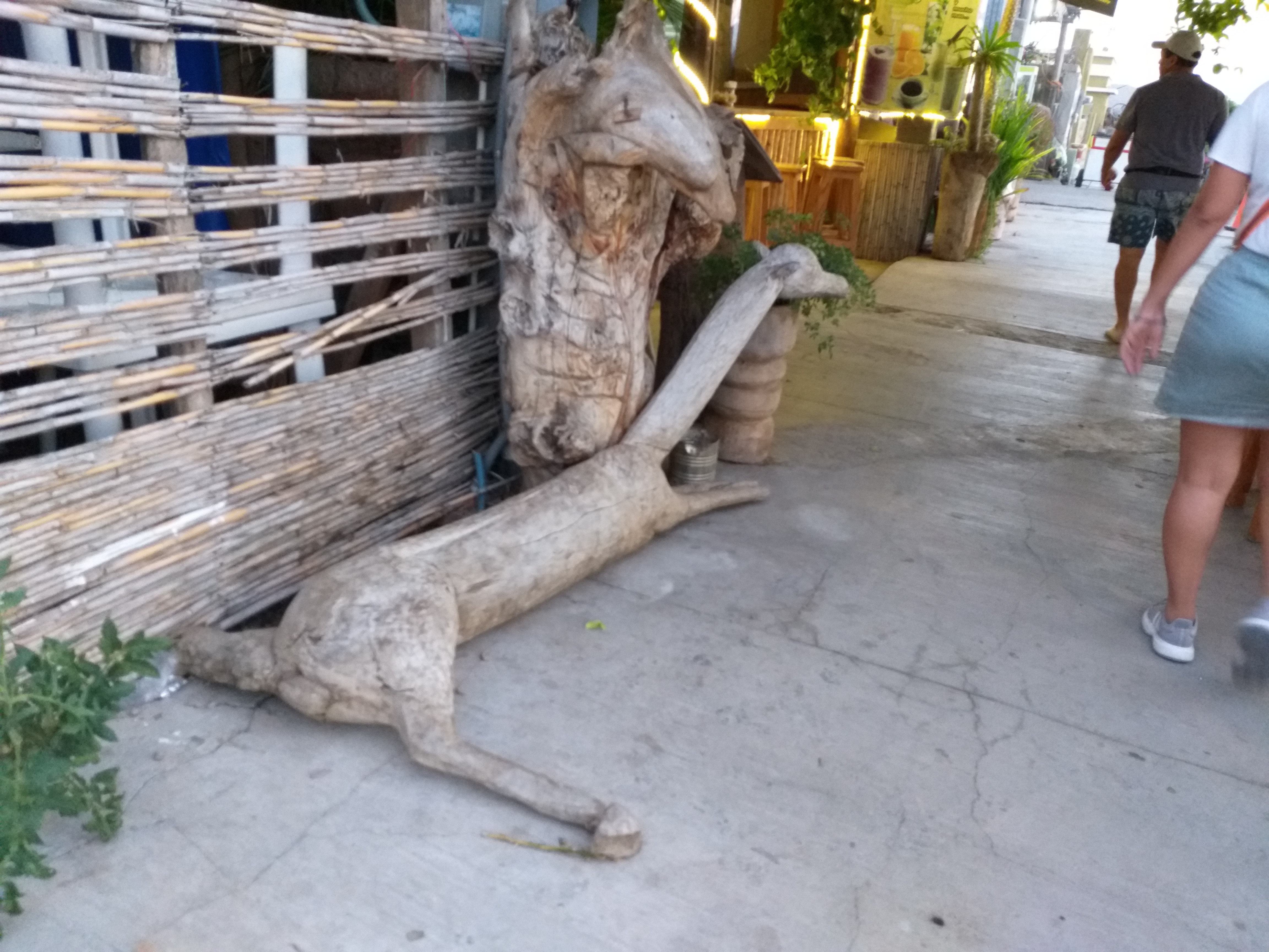 Tacos El Poblano image 7