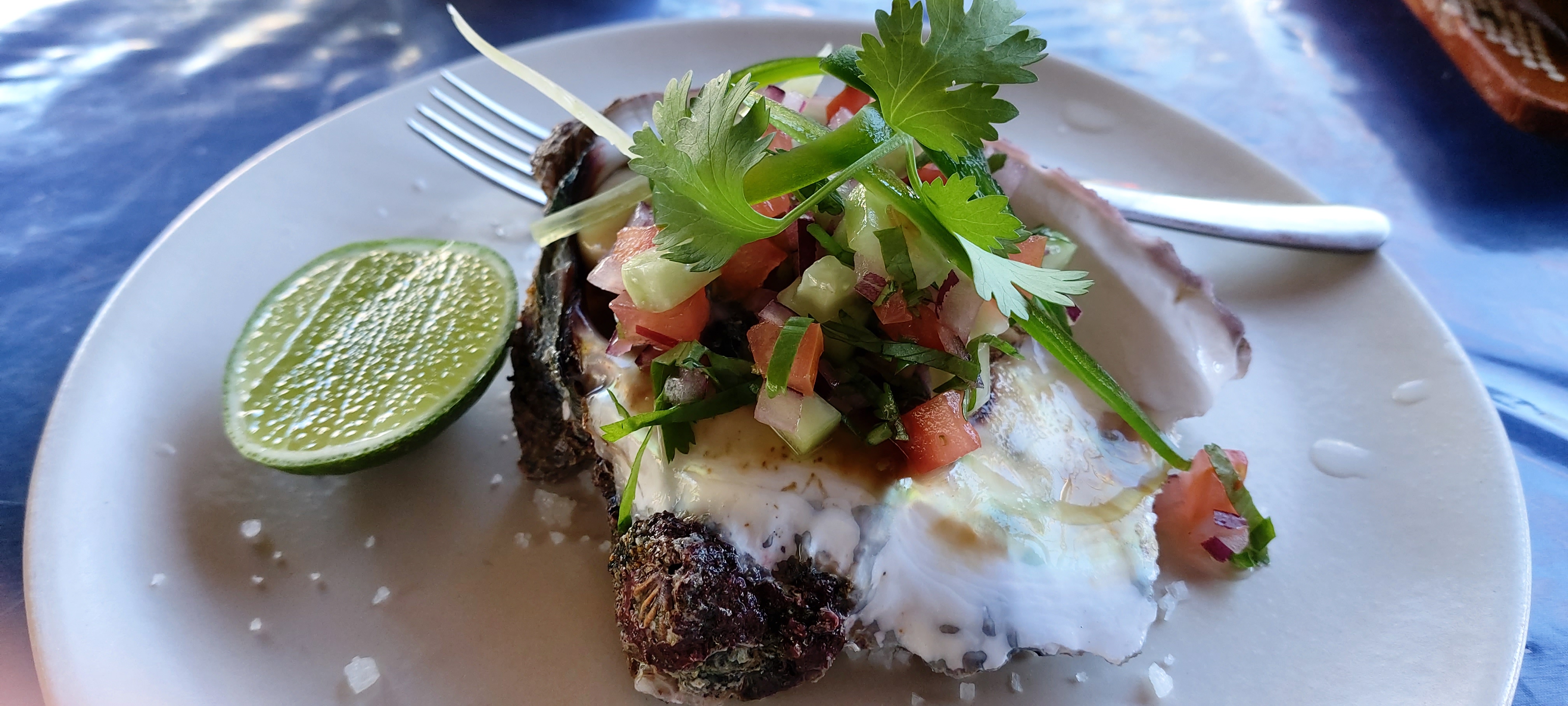 Tiki Santos Bar image 2