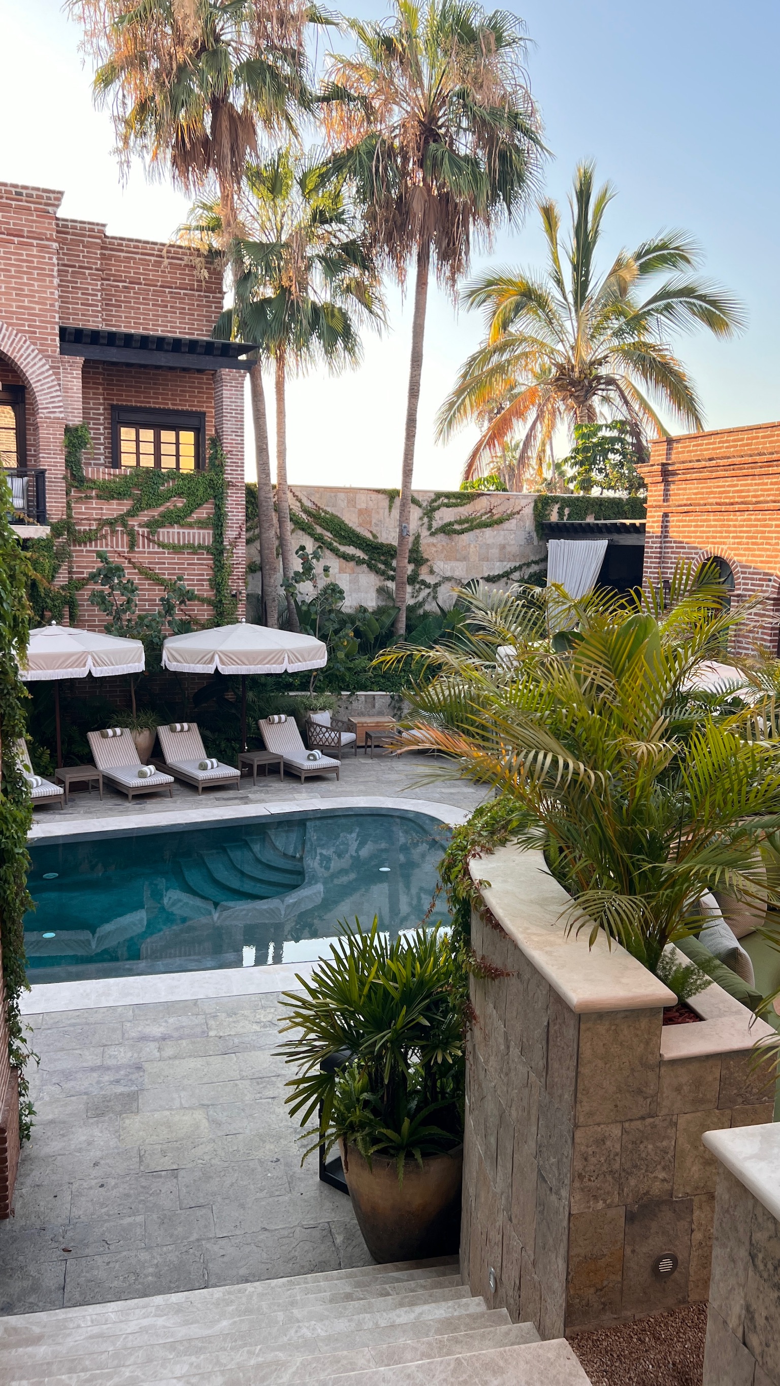 1890 Restaurant image 6