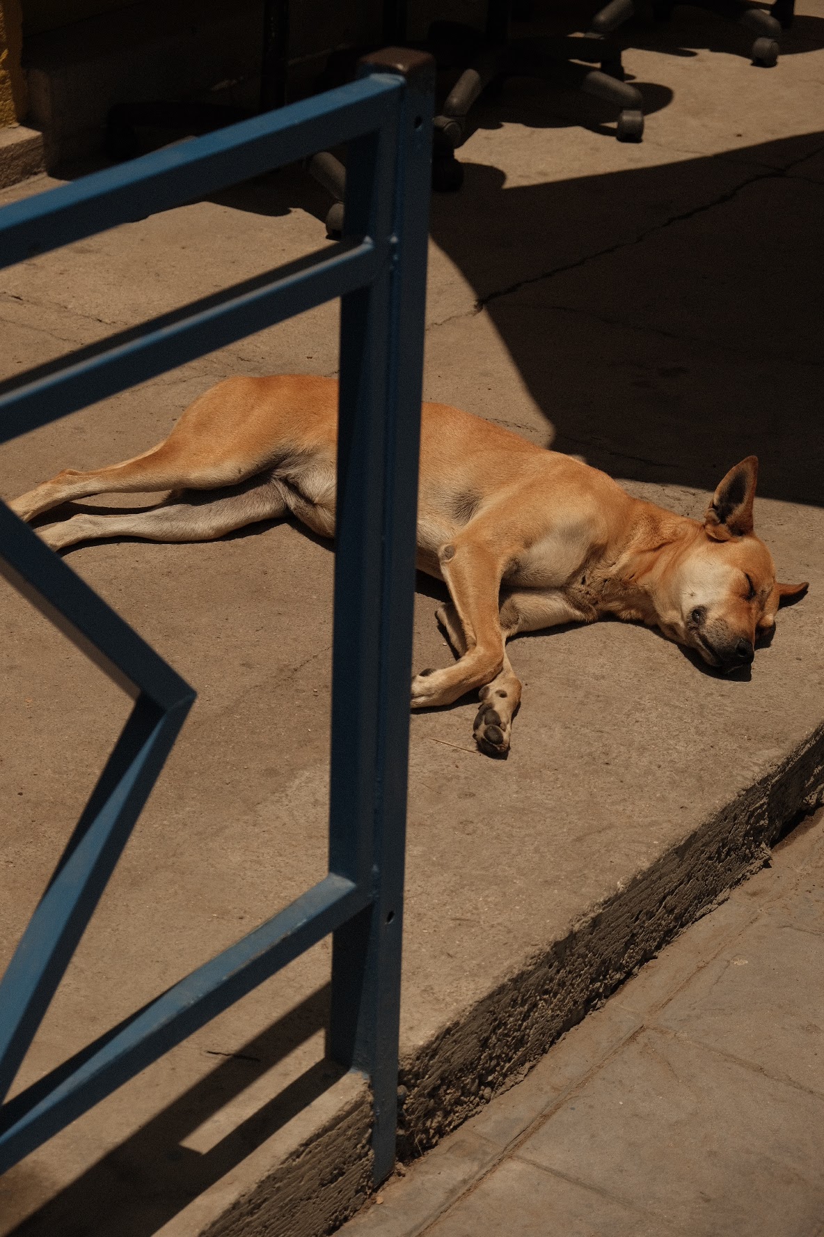 Shut Up Franks image 7