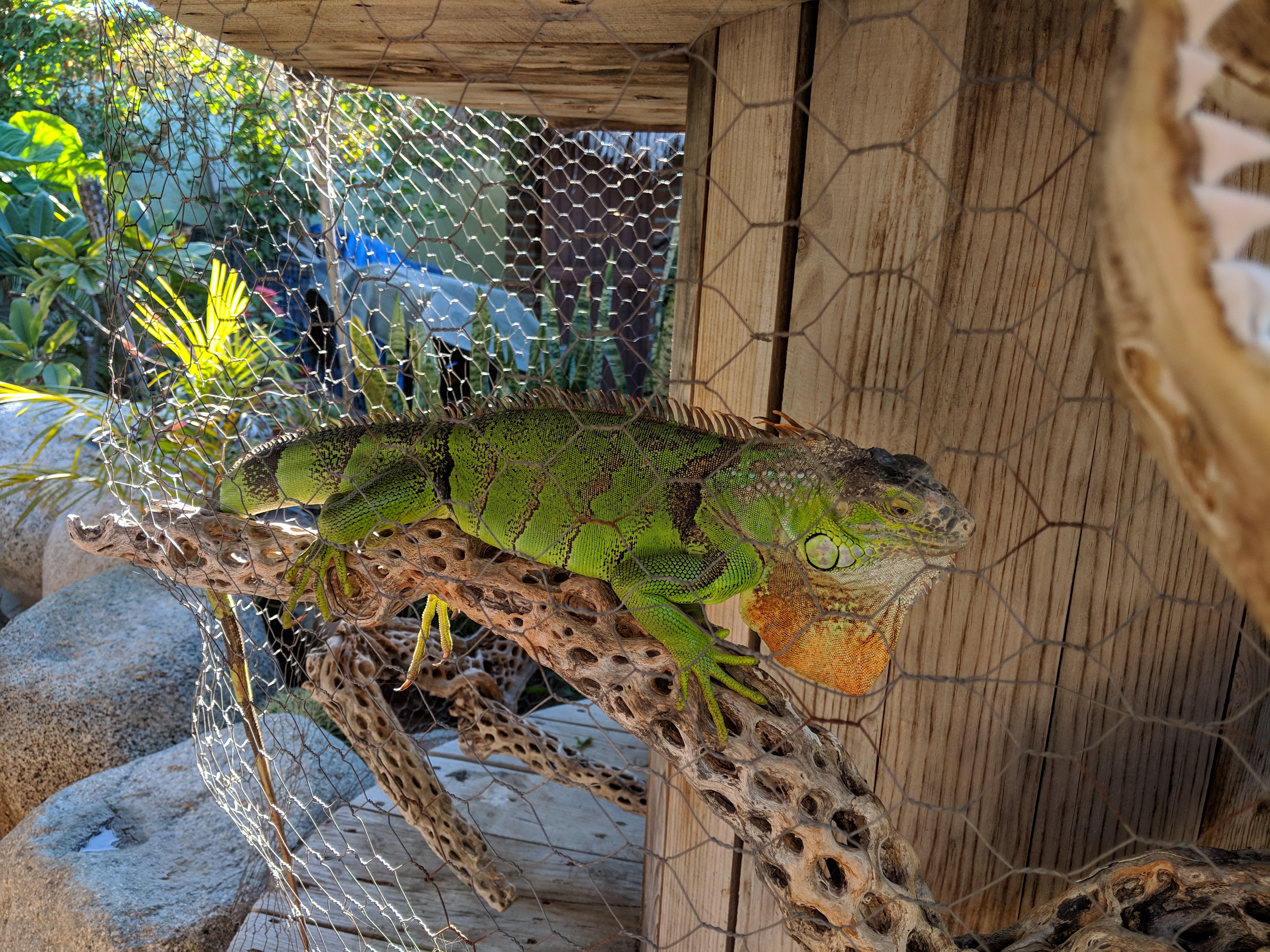 Chill N' Grill image 7