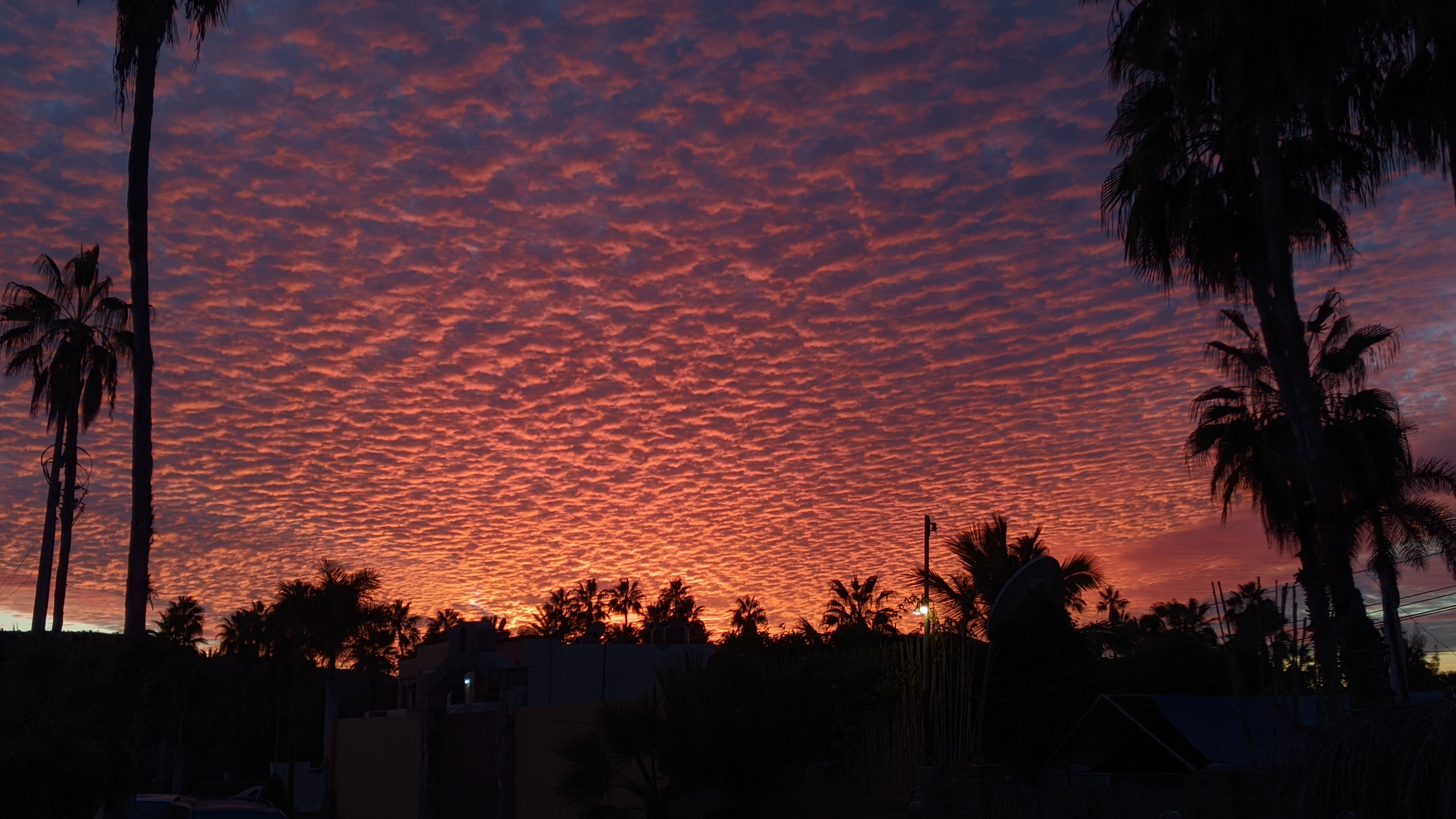 Chill N' Grill image 10