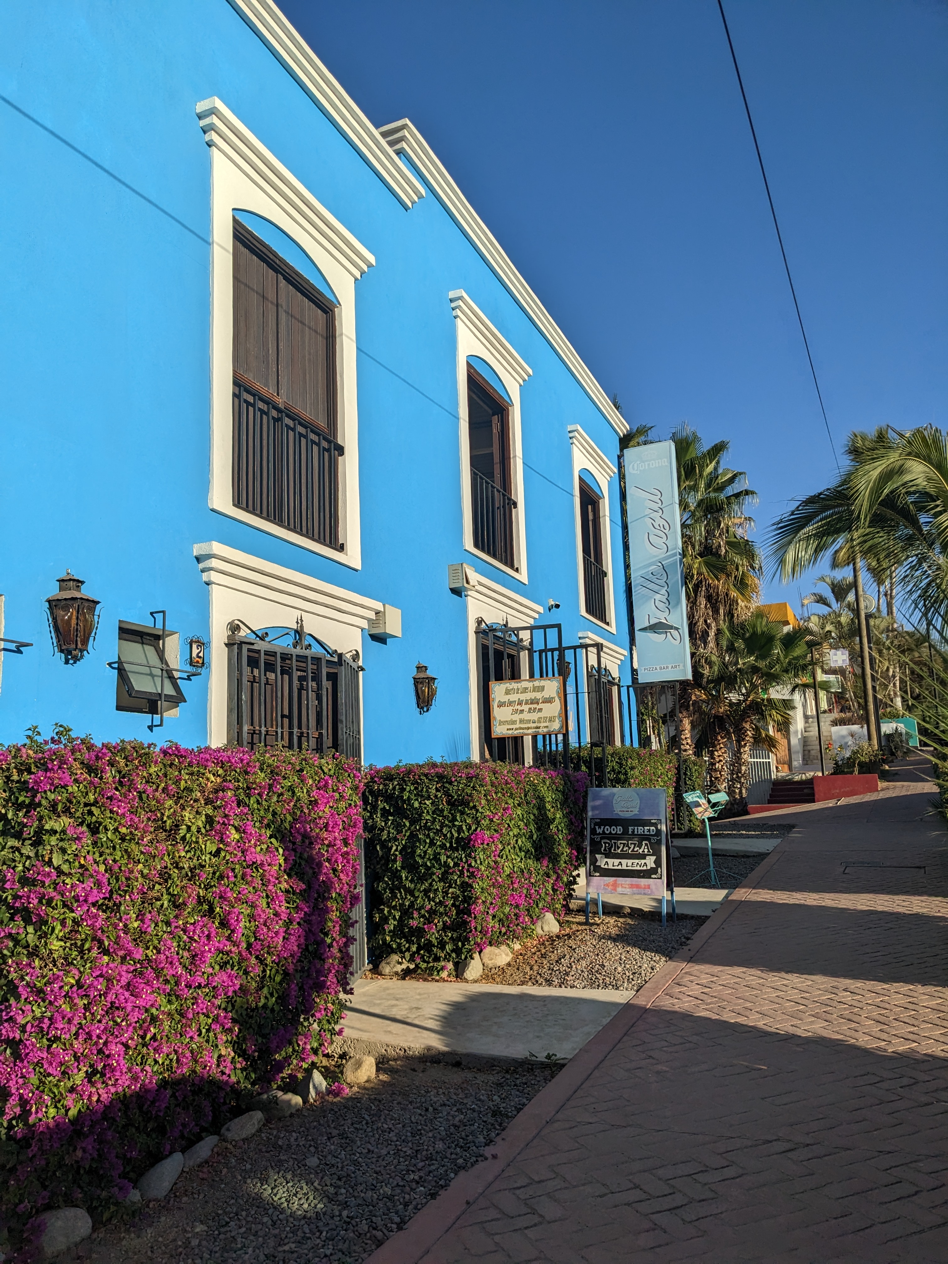 Gallo Azul Pizza Bar & Art image 4