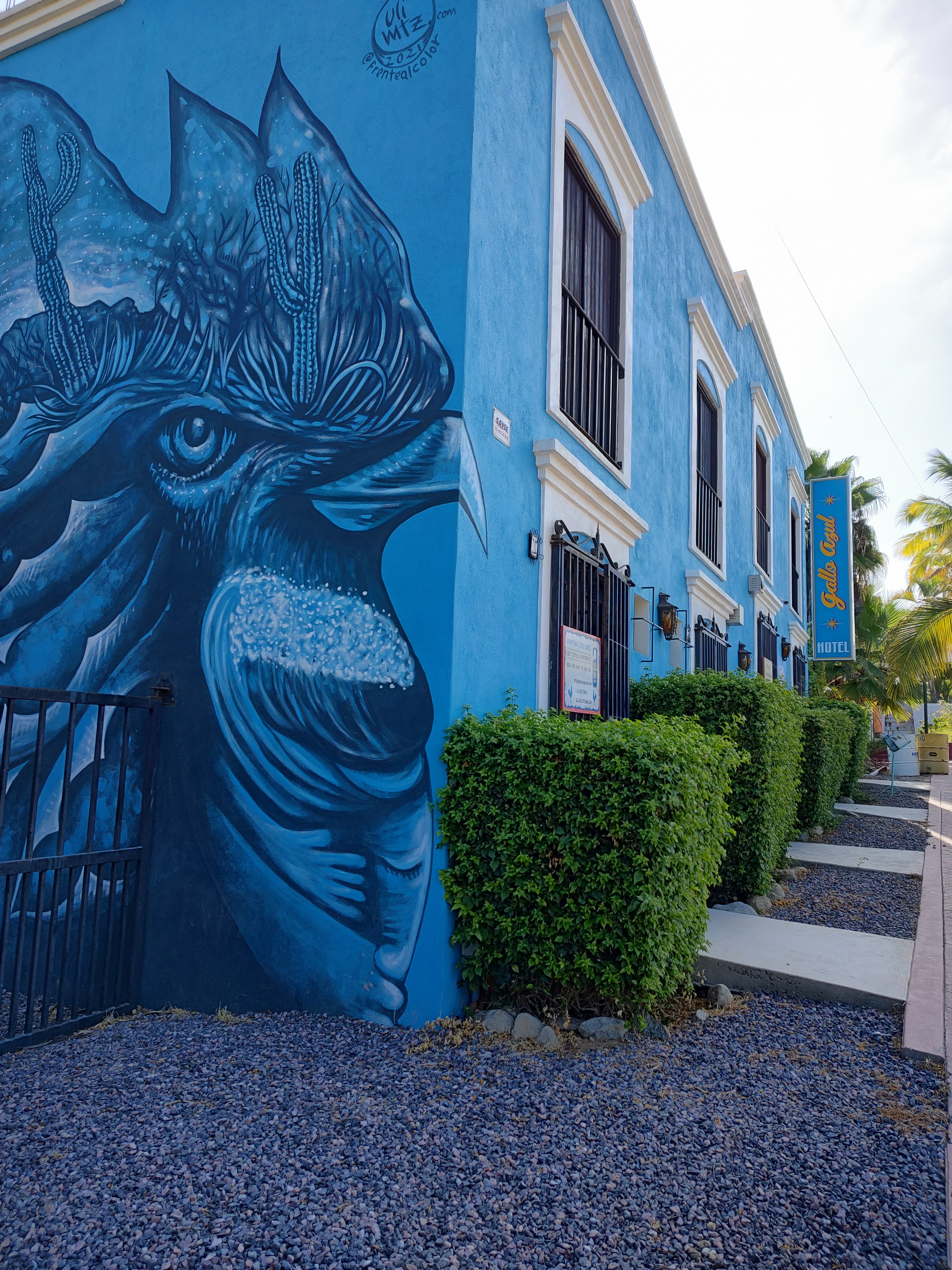 Gallo Azul Pizza Bar & Art image 8