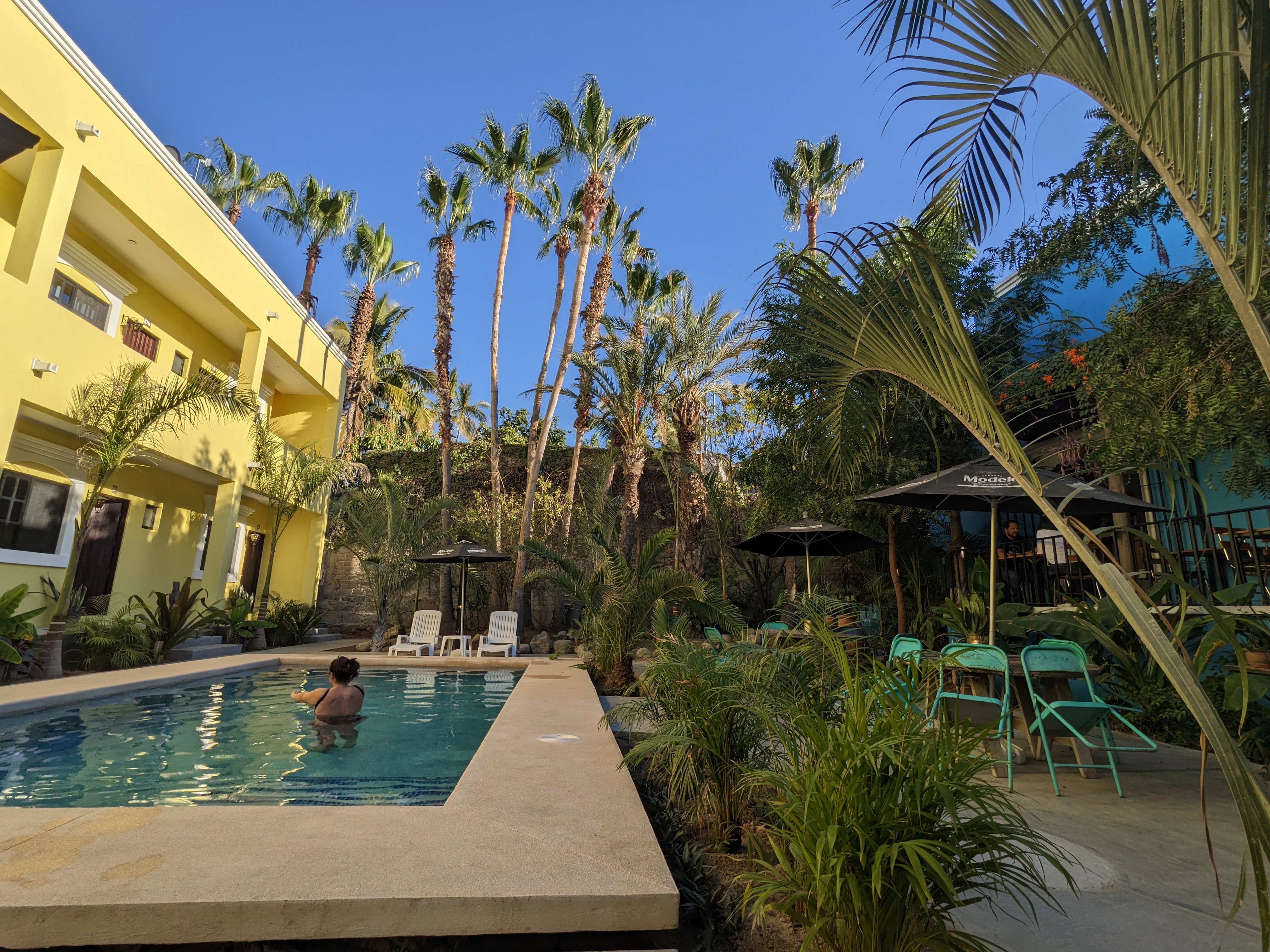 Gallo Azul Pizza Bar & Art image 10