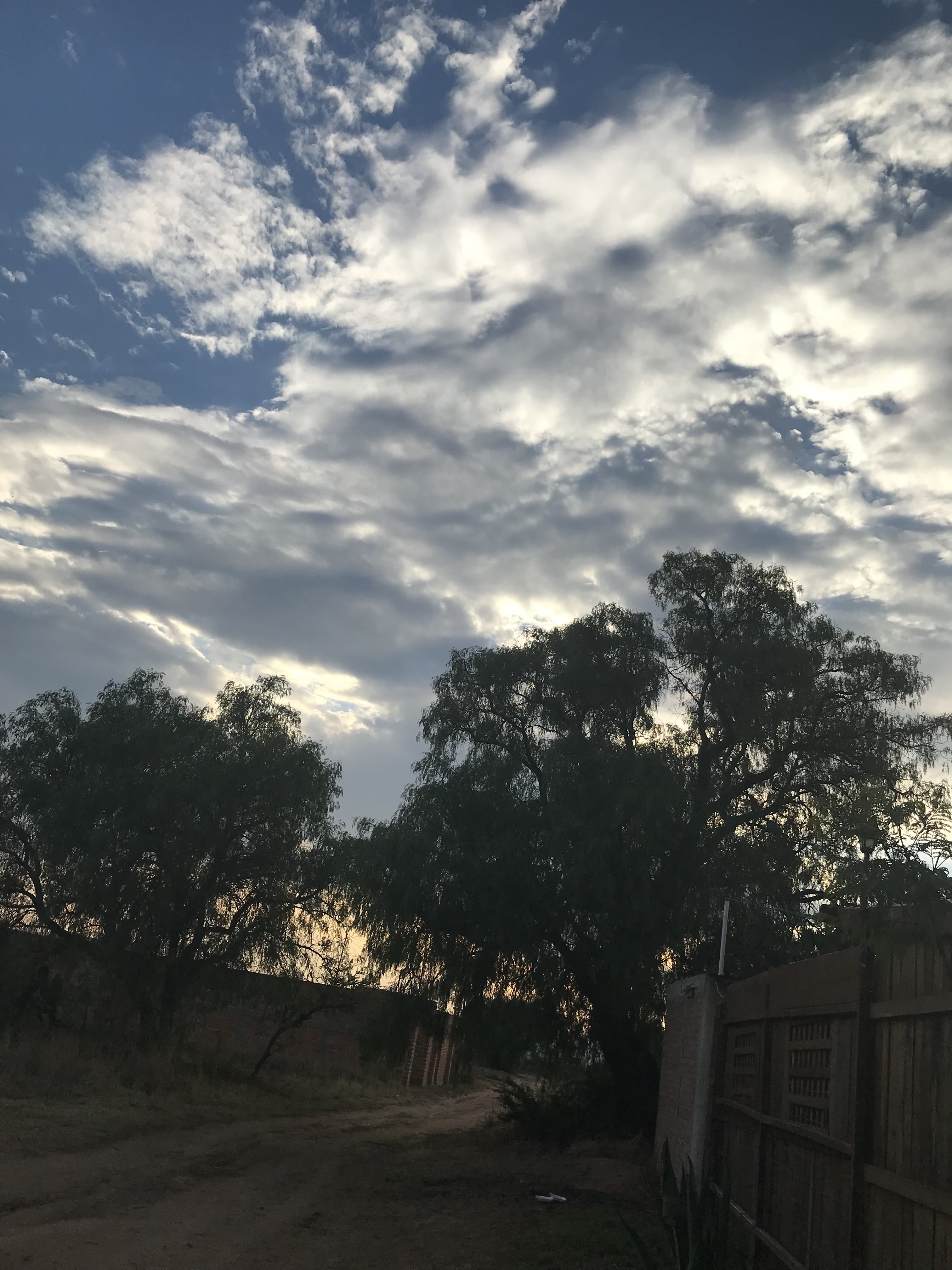 La Jarra Kafe image 2