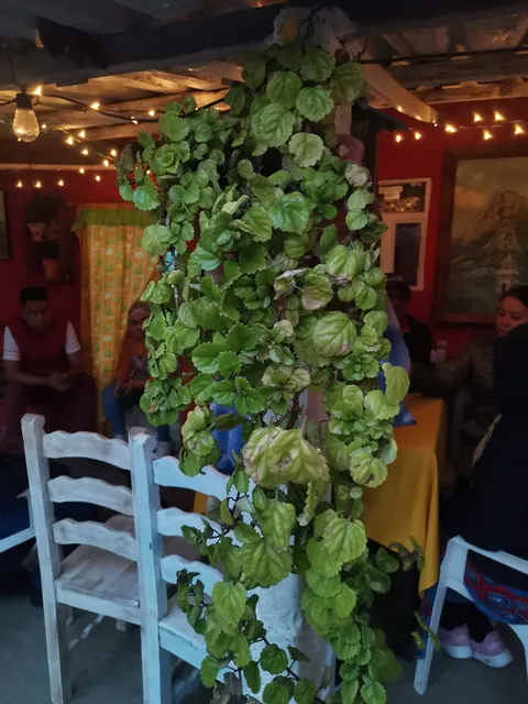La Jarra Kafe image 5