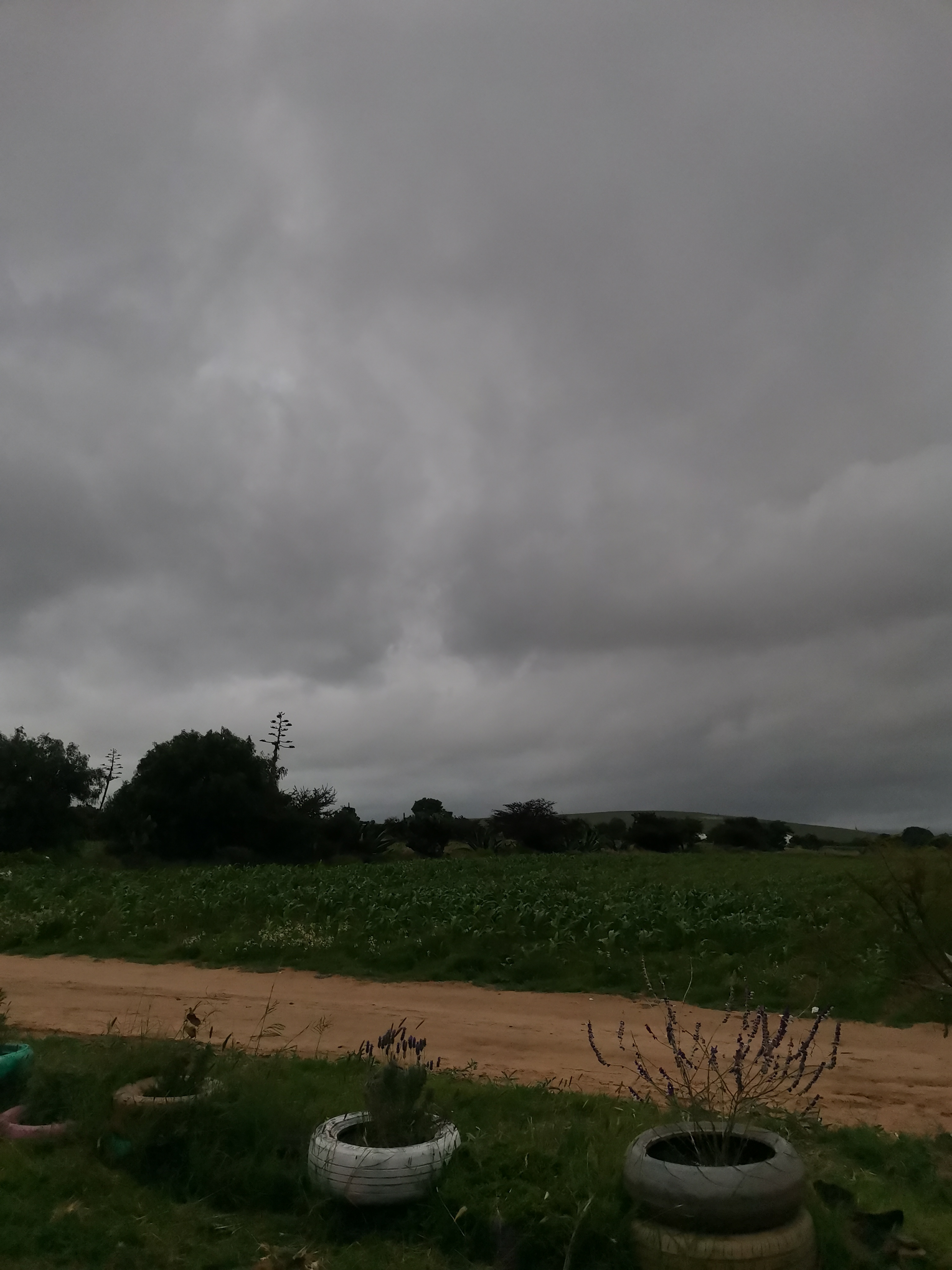 La Jarra Kafe image 6