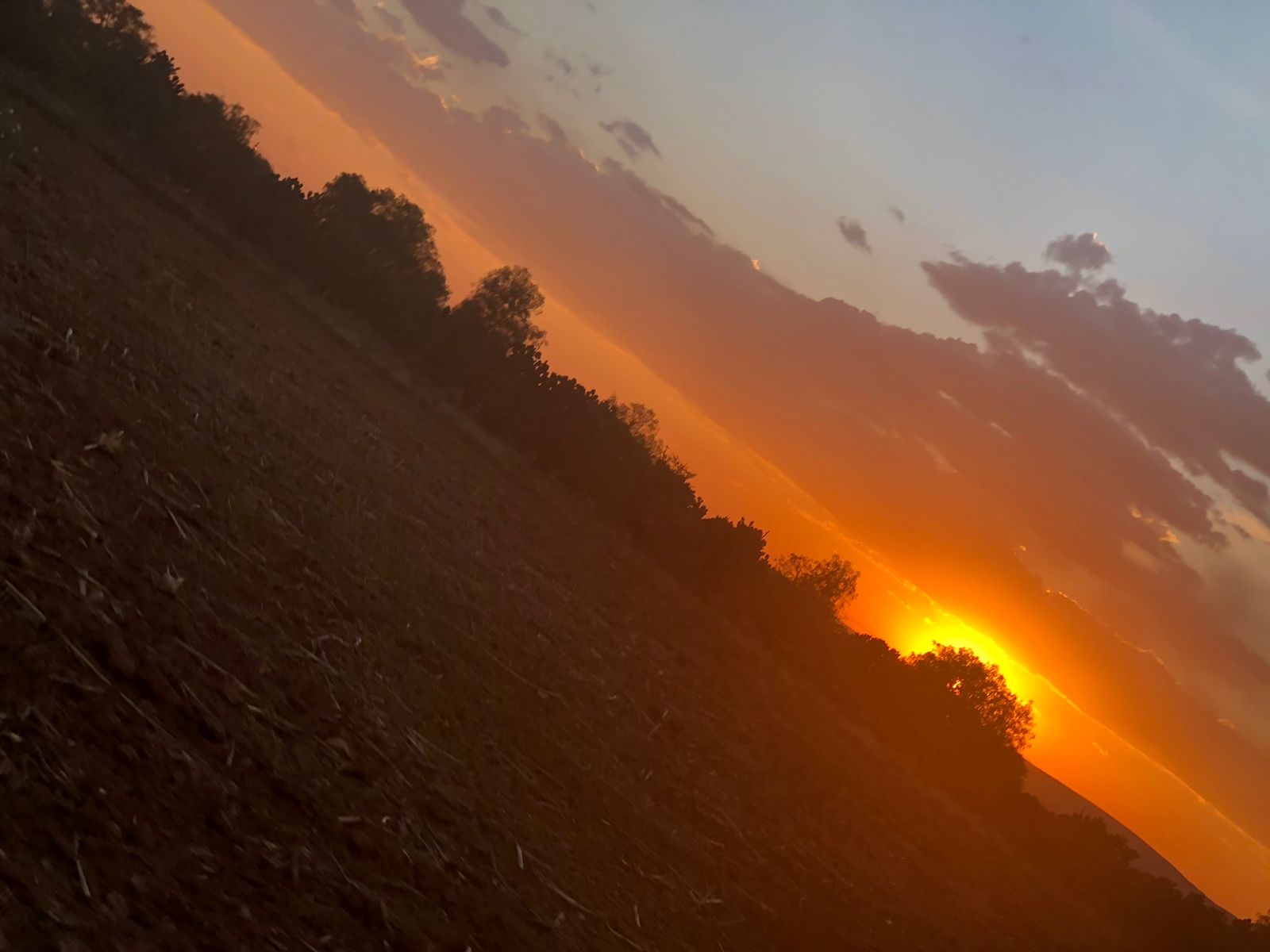 La Jarra Kafe image 10