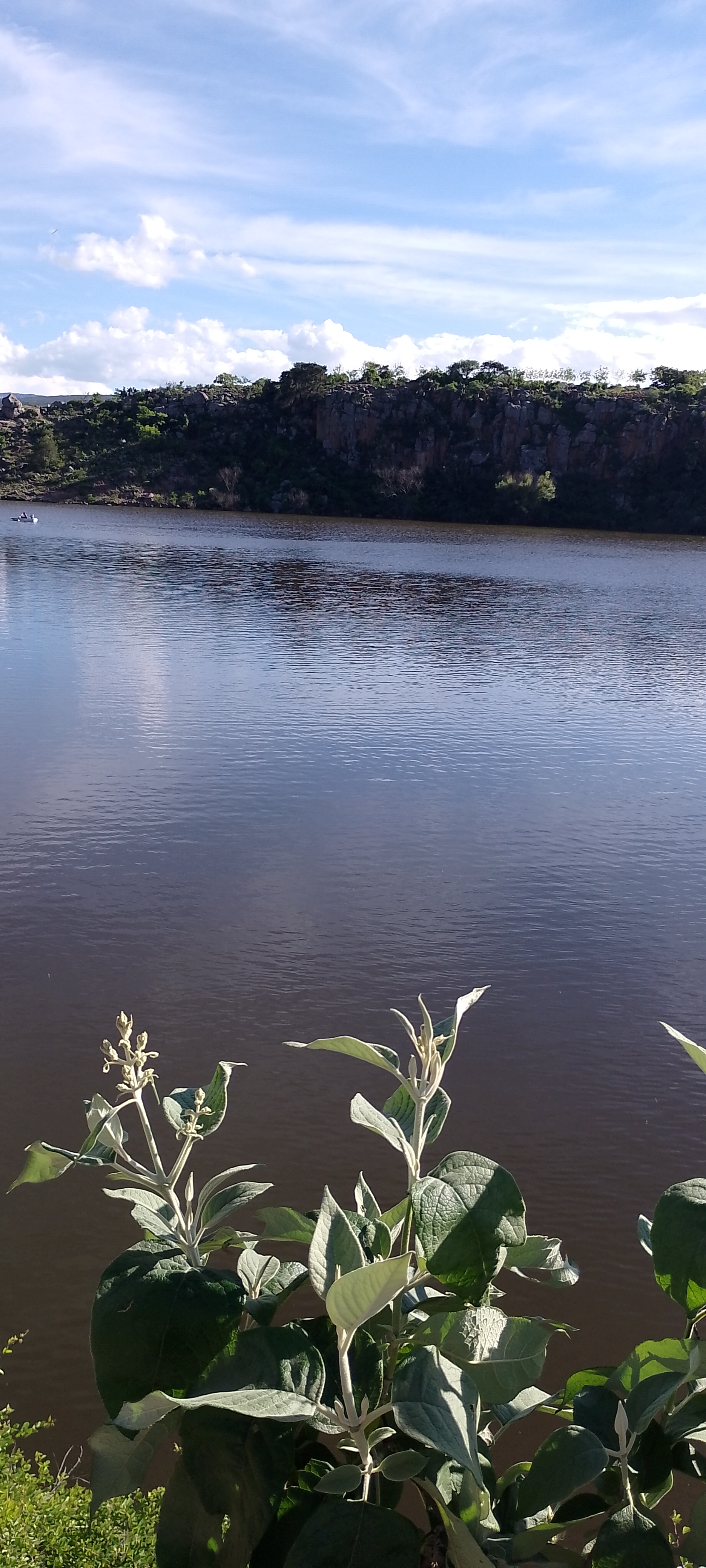 Restaurante El Otro Lado image 6