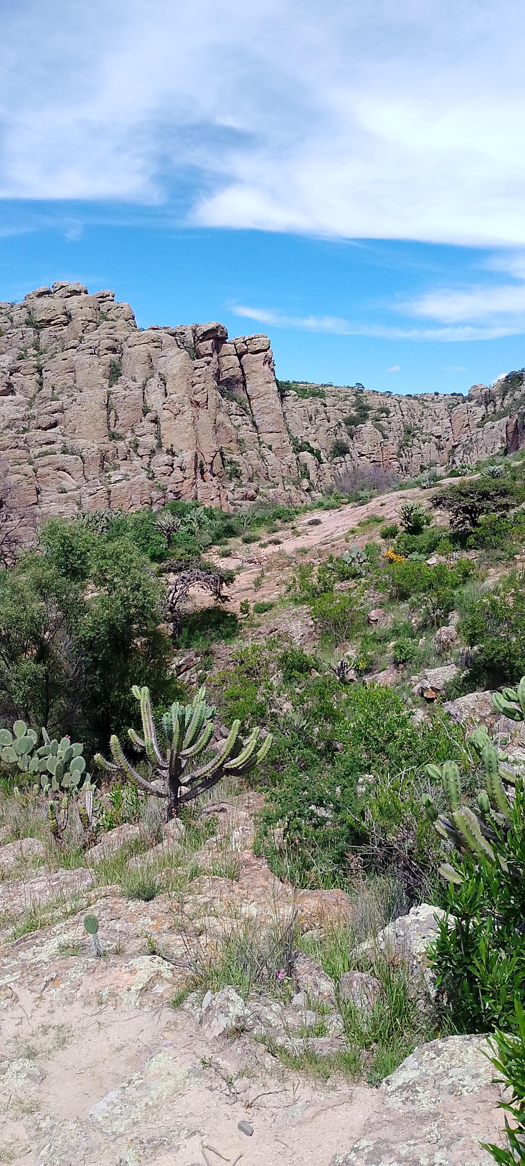 Restaurante El Otro Lado image 7