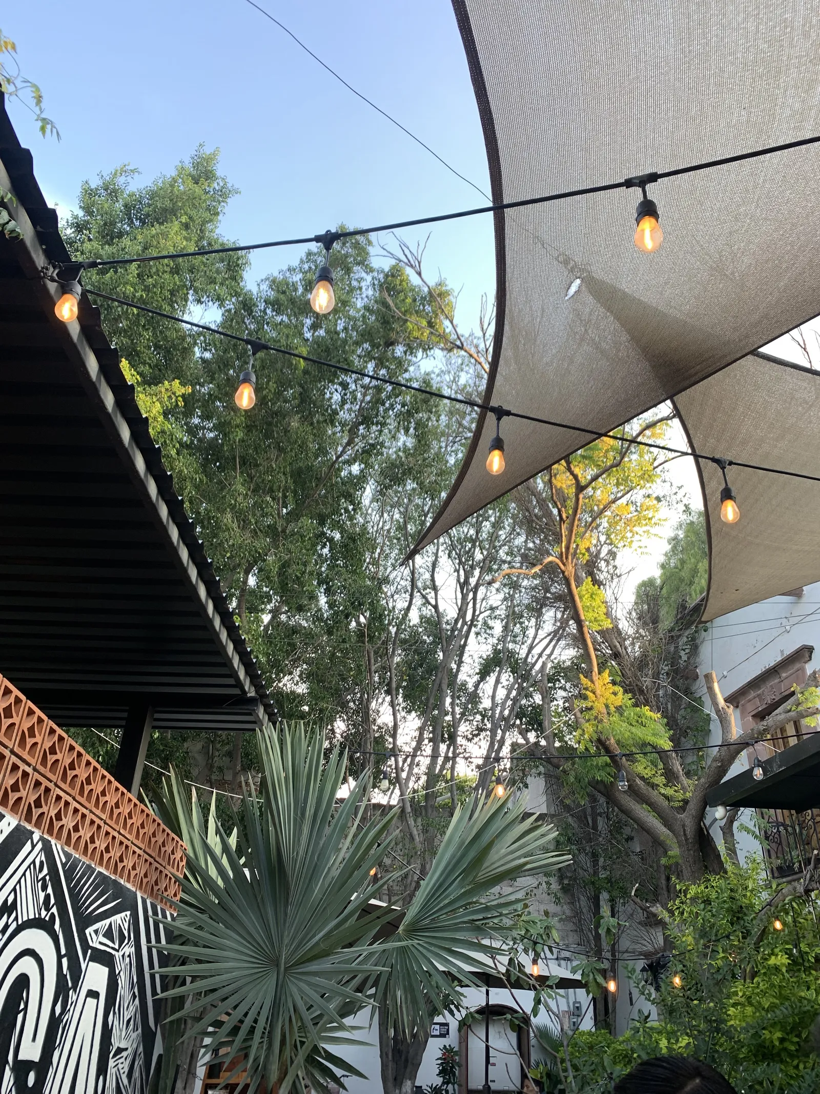 Casa Chica image 5