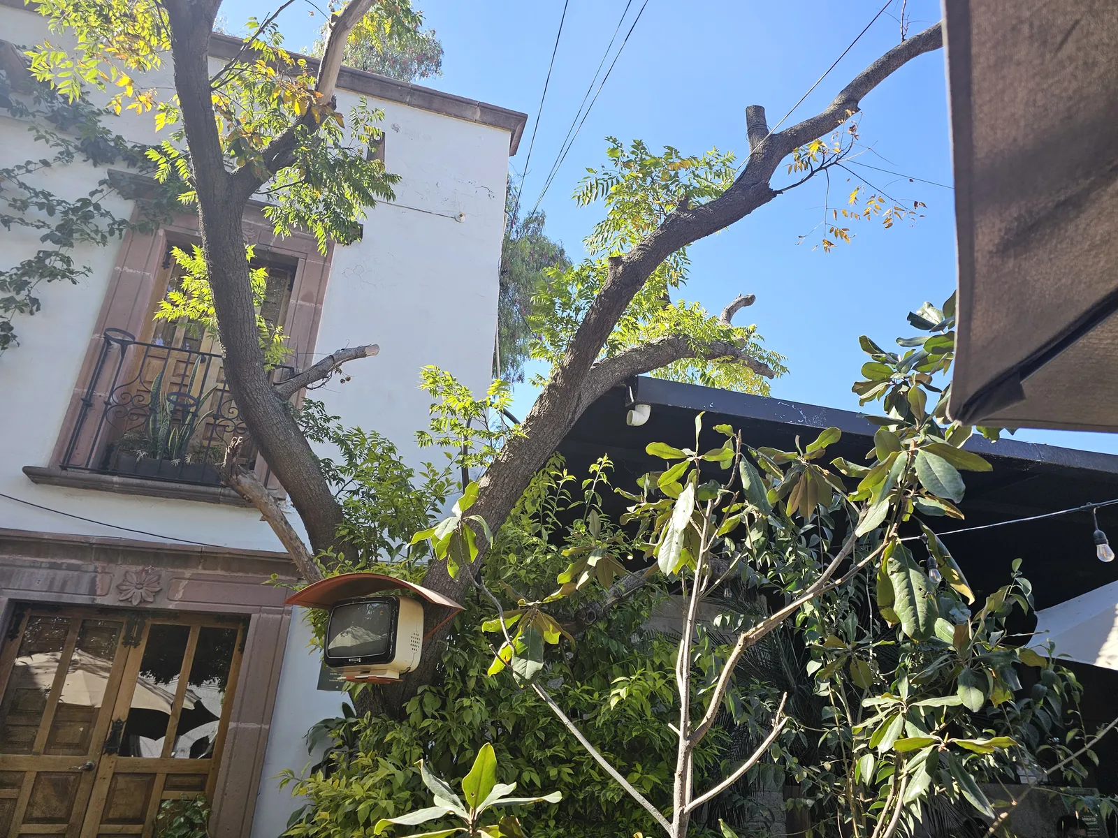 Casa Chica image 10