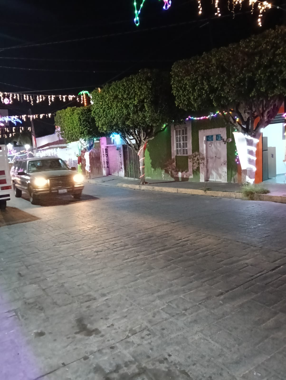 "EL TIKI" Centro Botanero image 2