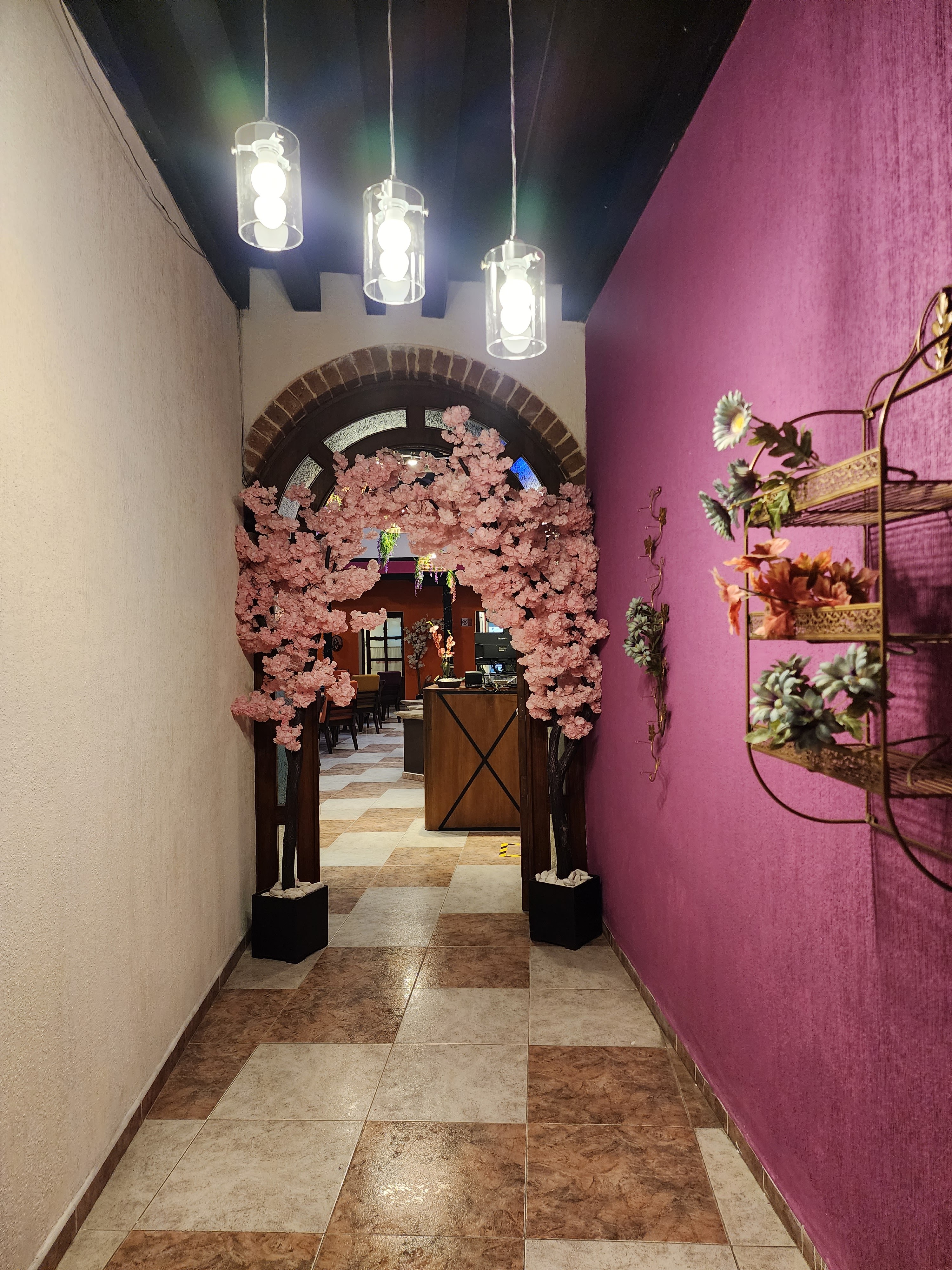 Casa Oasis Restaurante image 7